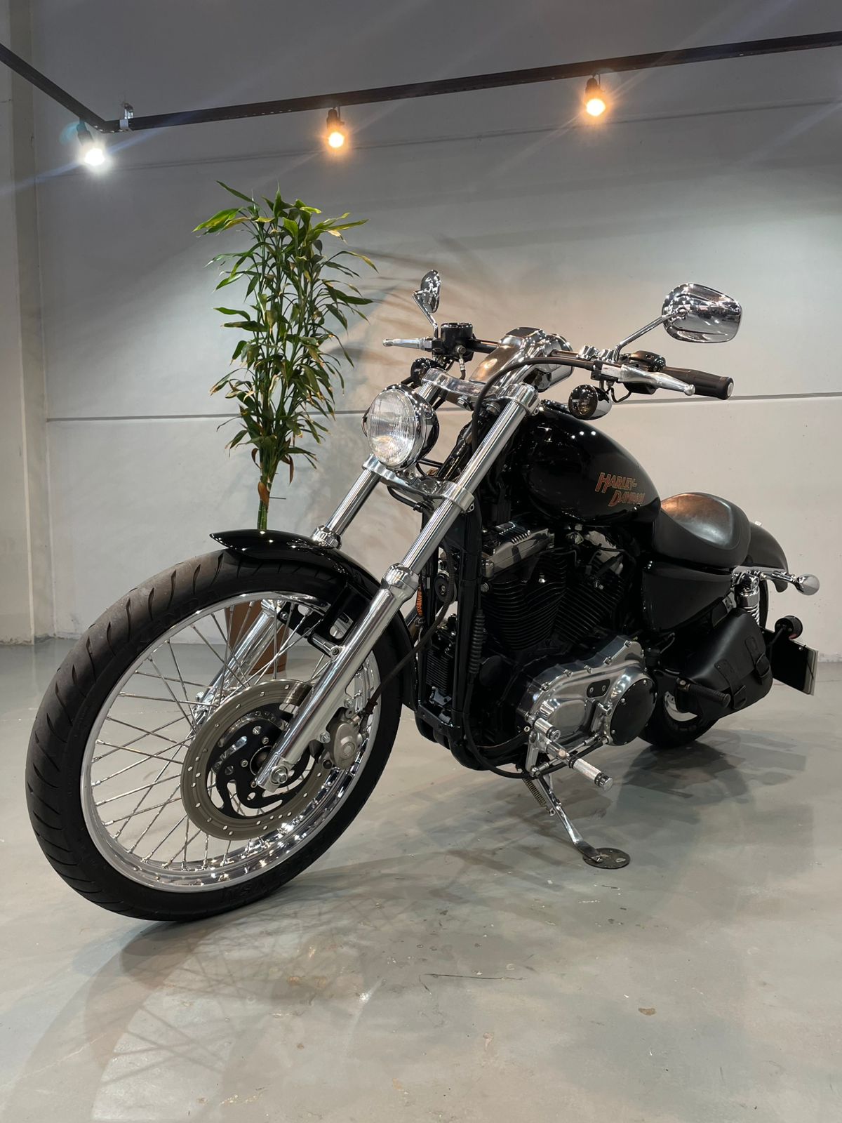 HARLEY-DAVIDSON XL 883 CUSTOM