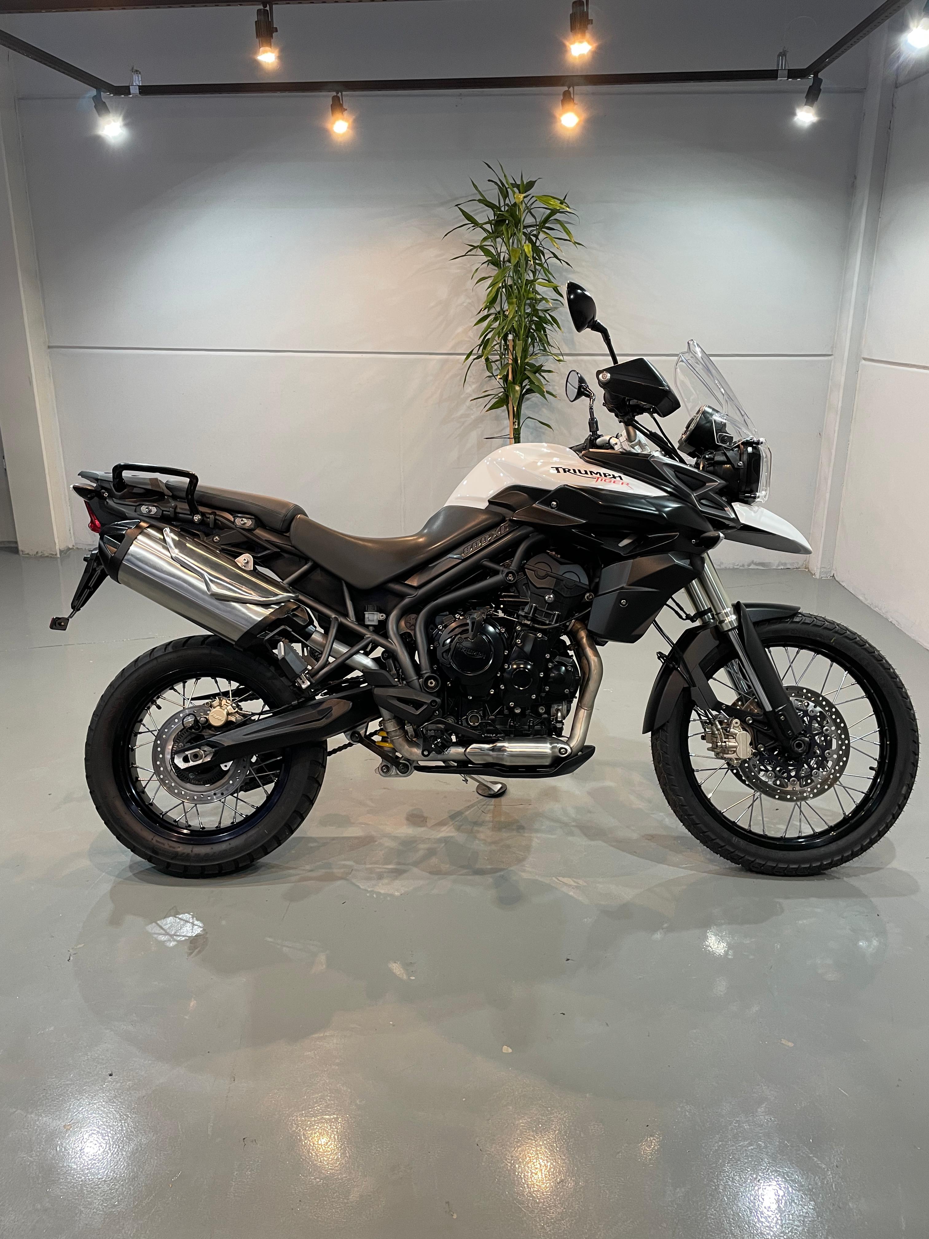 TRIUMPH TIGER 800 XC