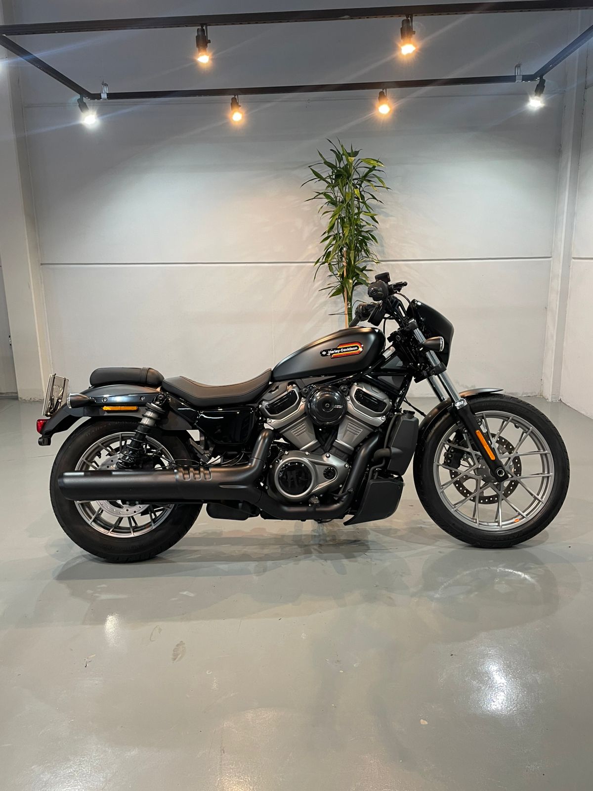 HARLEY-DAVIDSON RH975S - NIGHTSTER SPECIAL