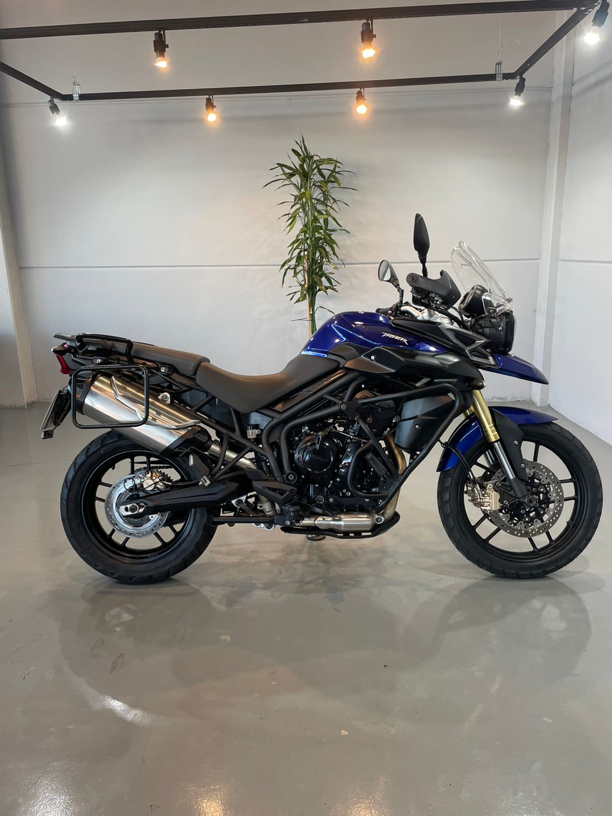 Triumph Tiger 800