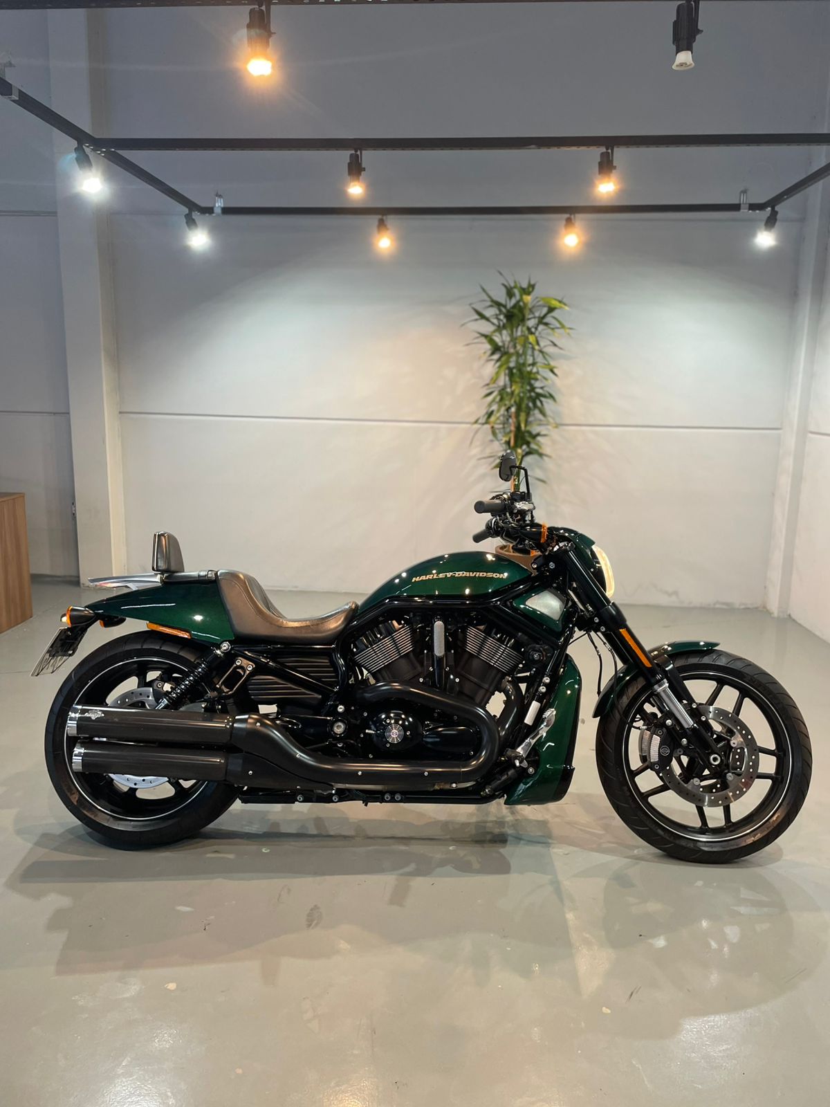 HARLEY-DAVIDSON V-ROD 1250 NIGHT ROD SPECIAL