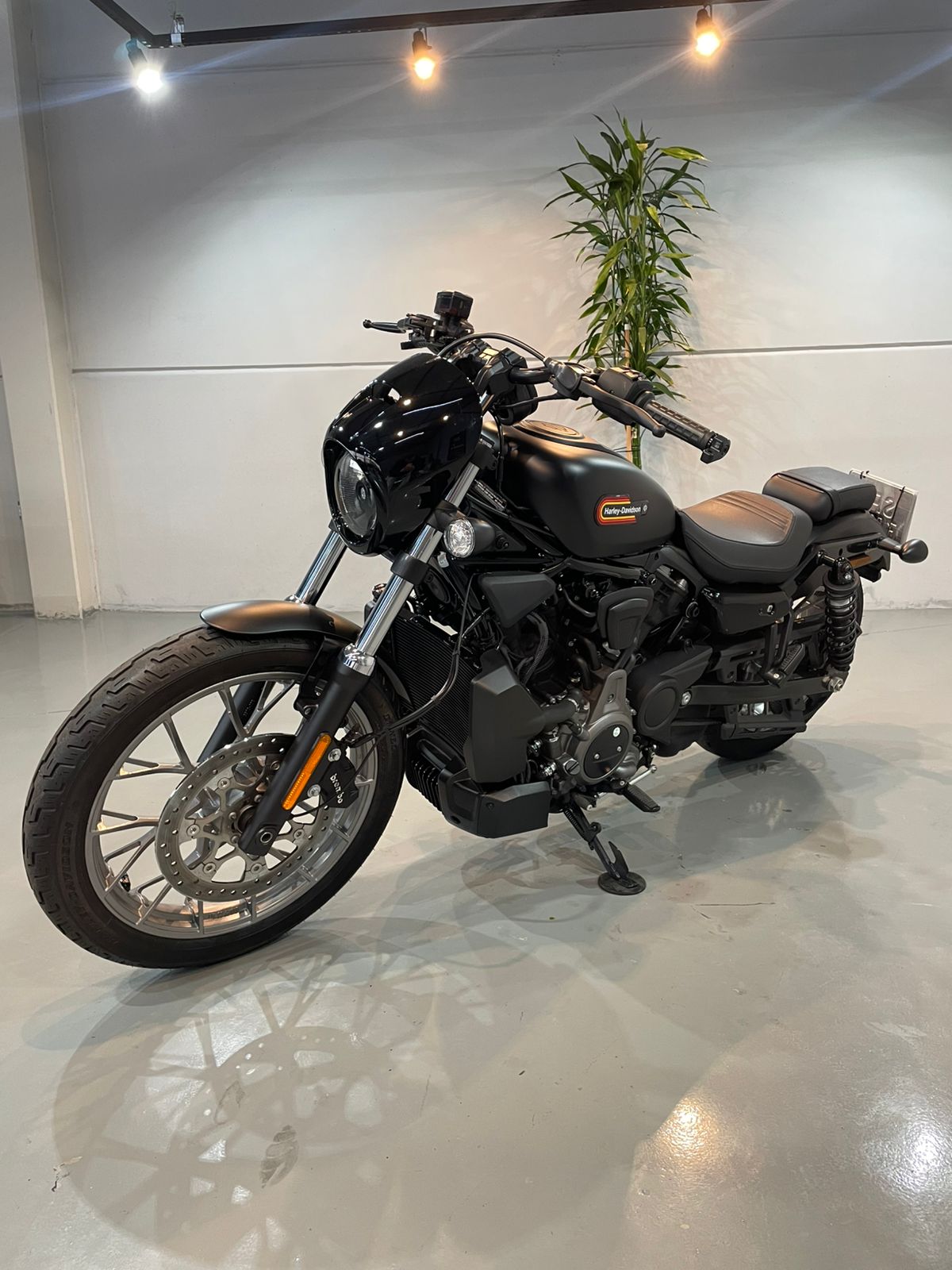 HARLEY-DAVIDSON RH975S - NIGHTSTER SPECIAL