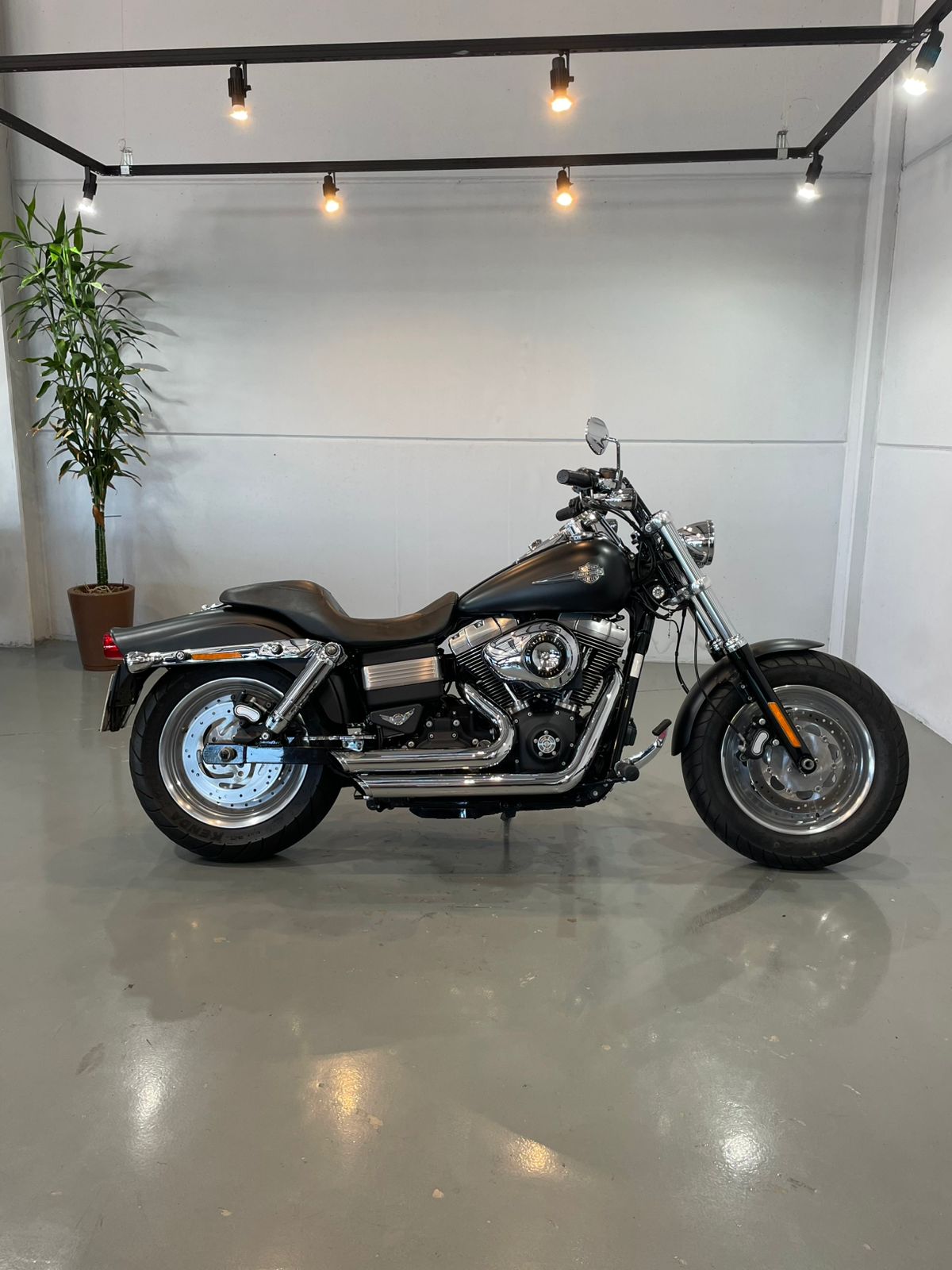 Harley-Davidson Fat Bob / FXDF