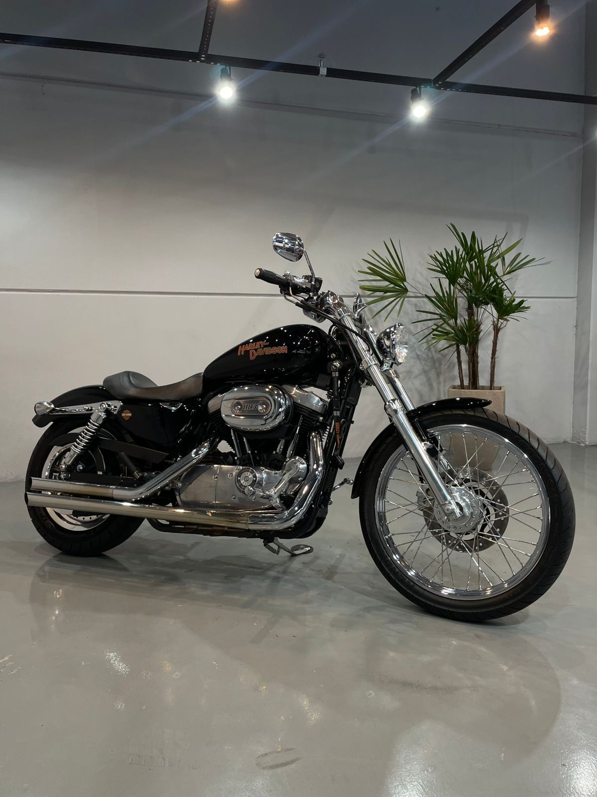 HARLEY DAVIDSON XL 883 CUSTOM – 2004