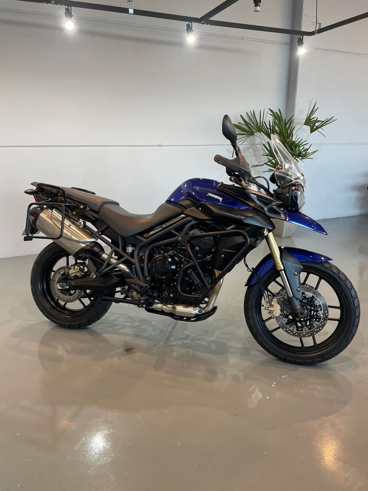 Triumph Tiger 800