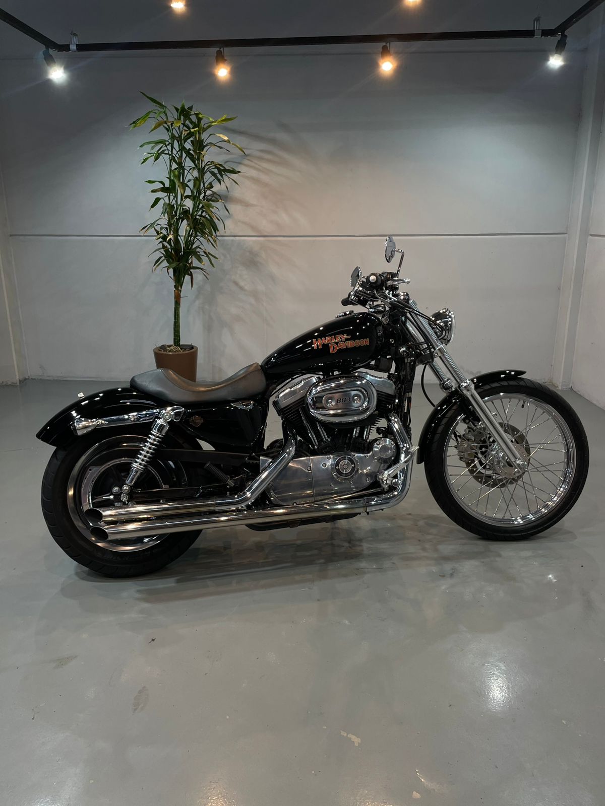 HARLEY-DAVIDSON XL 883 CUSTOM