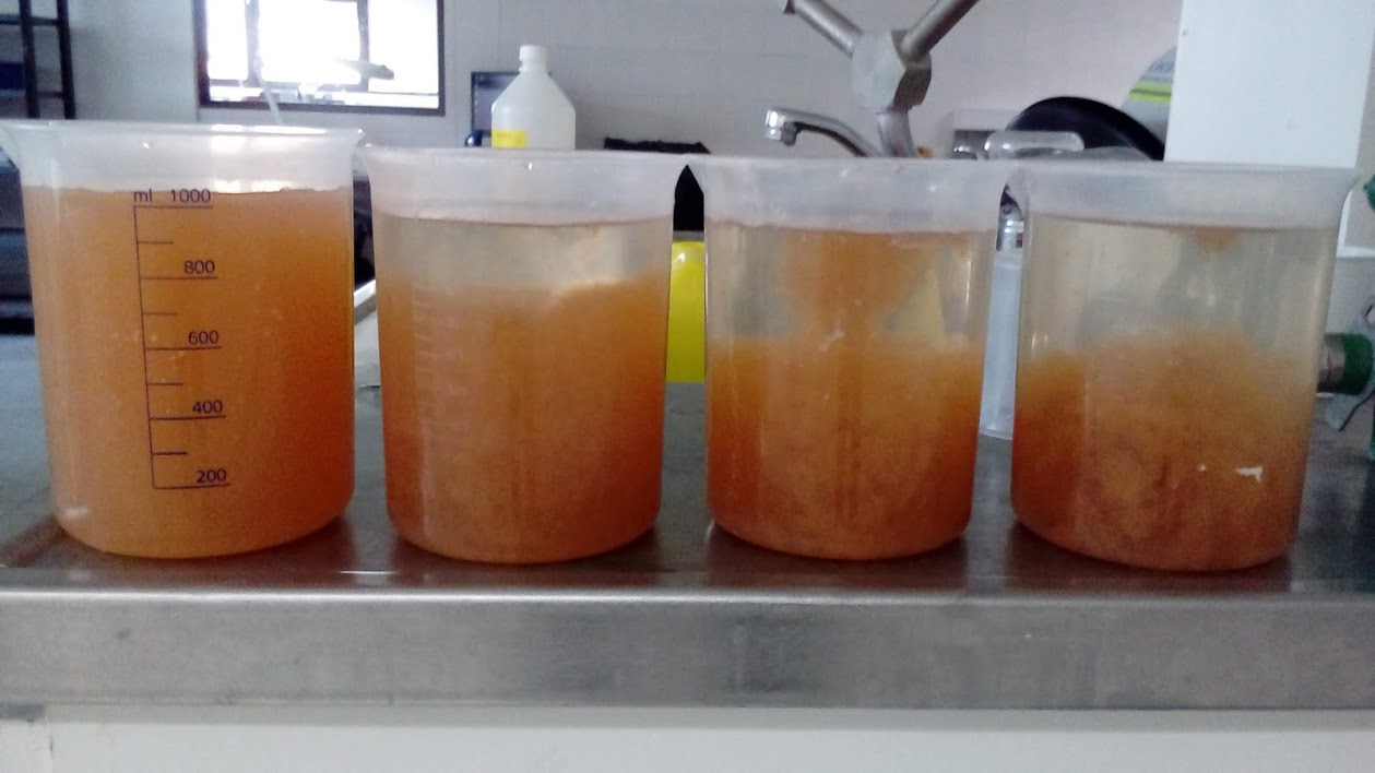 Muestras de mezcla sedimentada