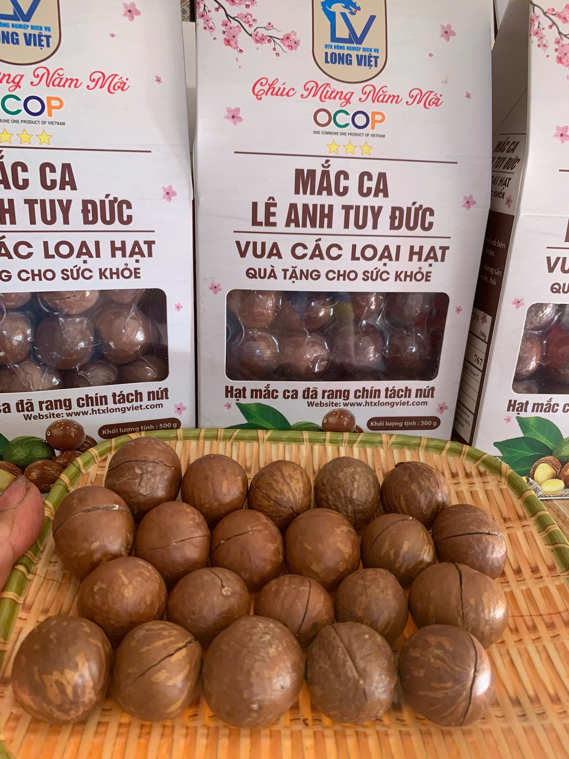 Hạt Macca Lê Anh Tuy Đức