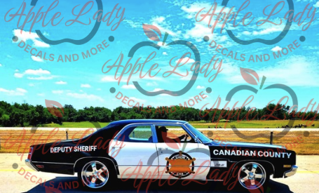 Custom Car Window and Exterior Decals