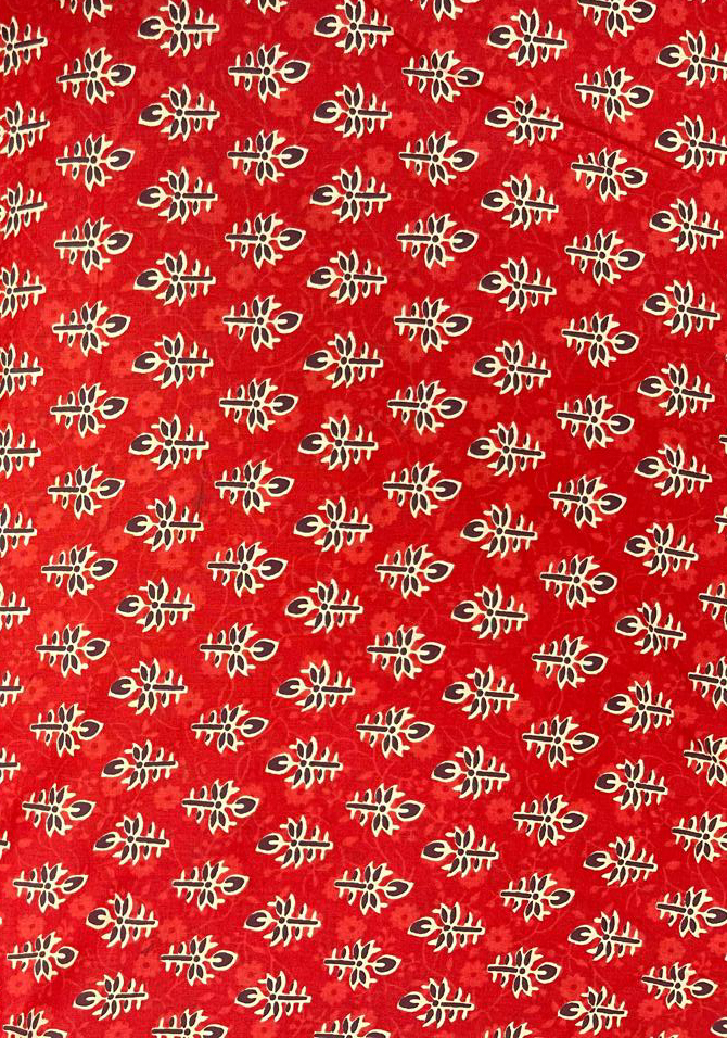 1020 - The Scarlet Bloom Cotton Kurta Set