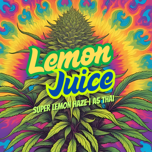 Lemon Juice