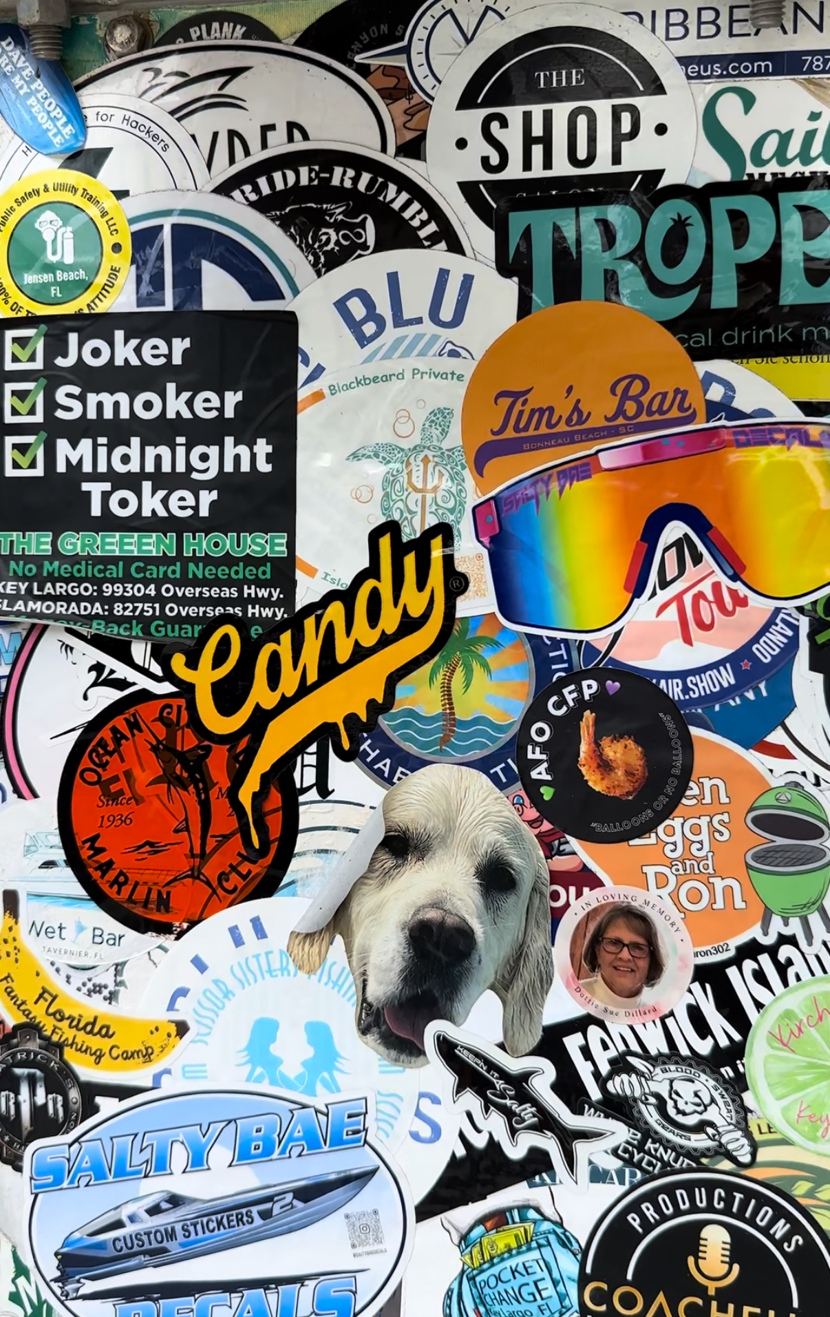 Candy Wheel Pop Sticker Collection - Dayton