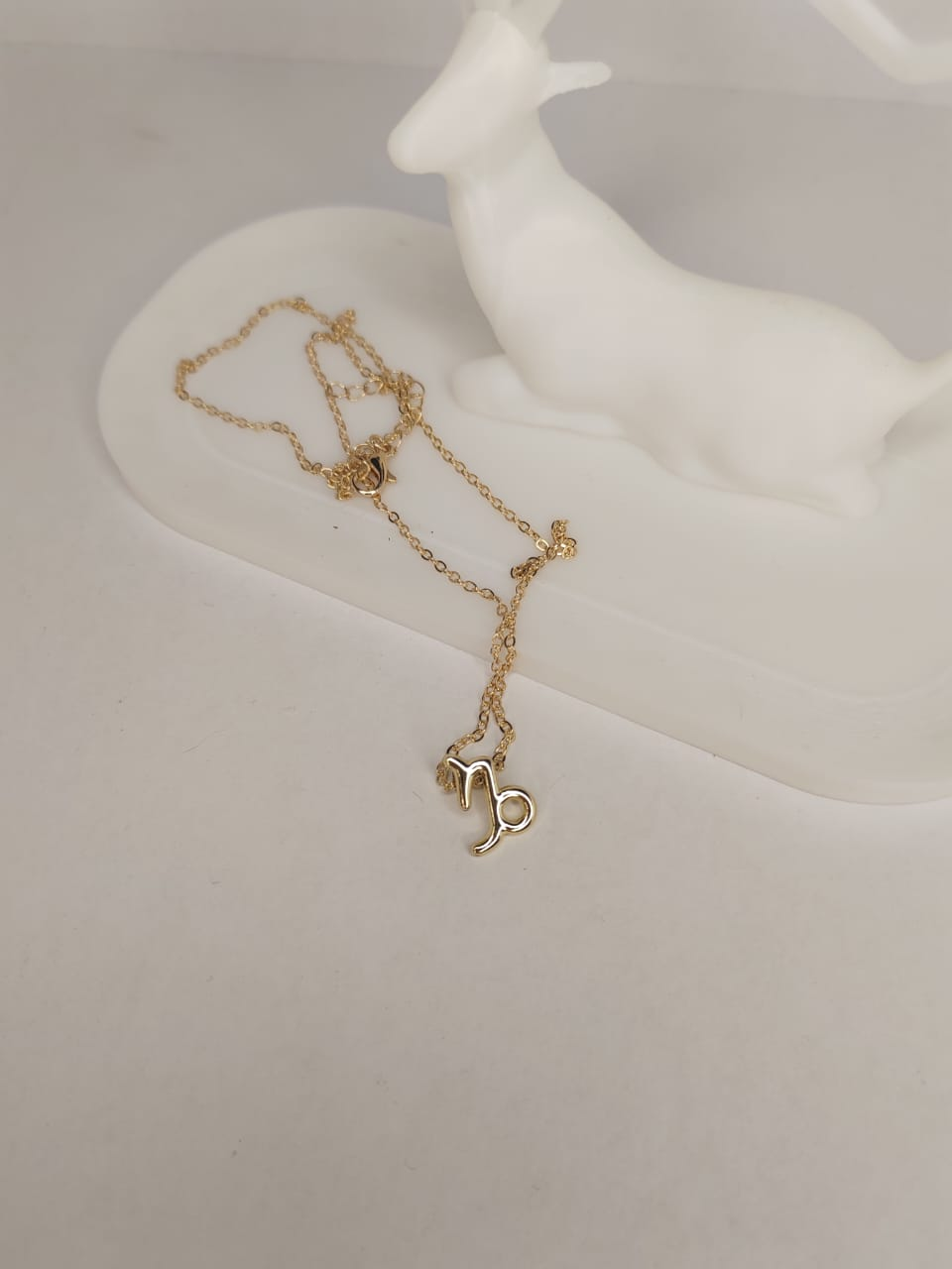 Capricorn Zodiac Necklace