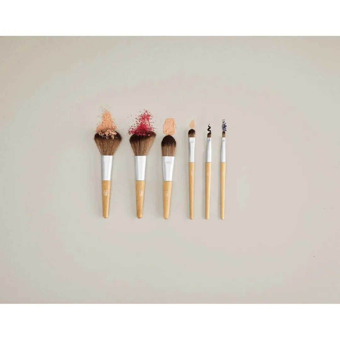 Professional Cien Beauty makeup brushes 6 pcs in a case