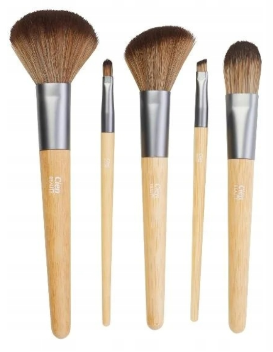 Cien PROFESSIONAL MAKE UP BRUSHES SET 5 PCS IN CIEN BEAUTY CASE