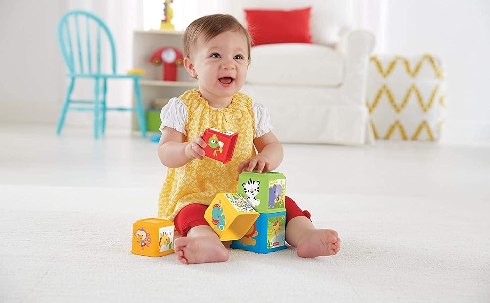 Fisher-Price Stack & Explore Blocks, Set of 5