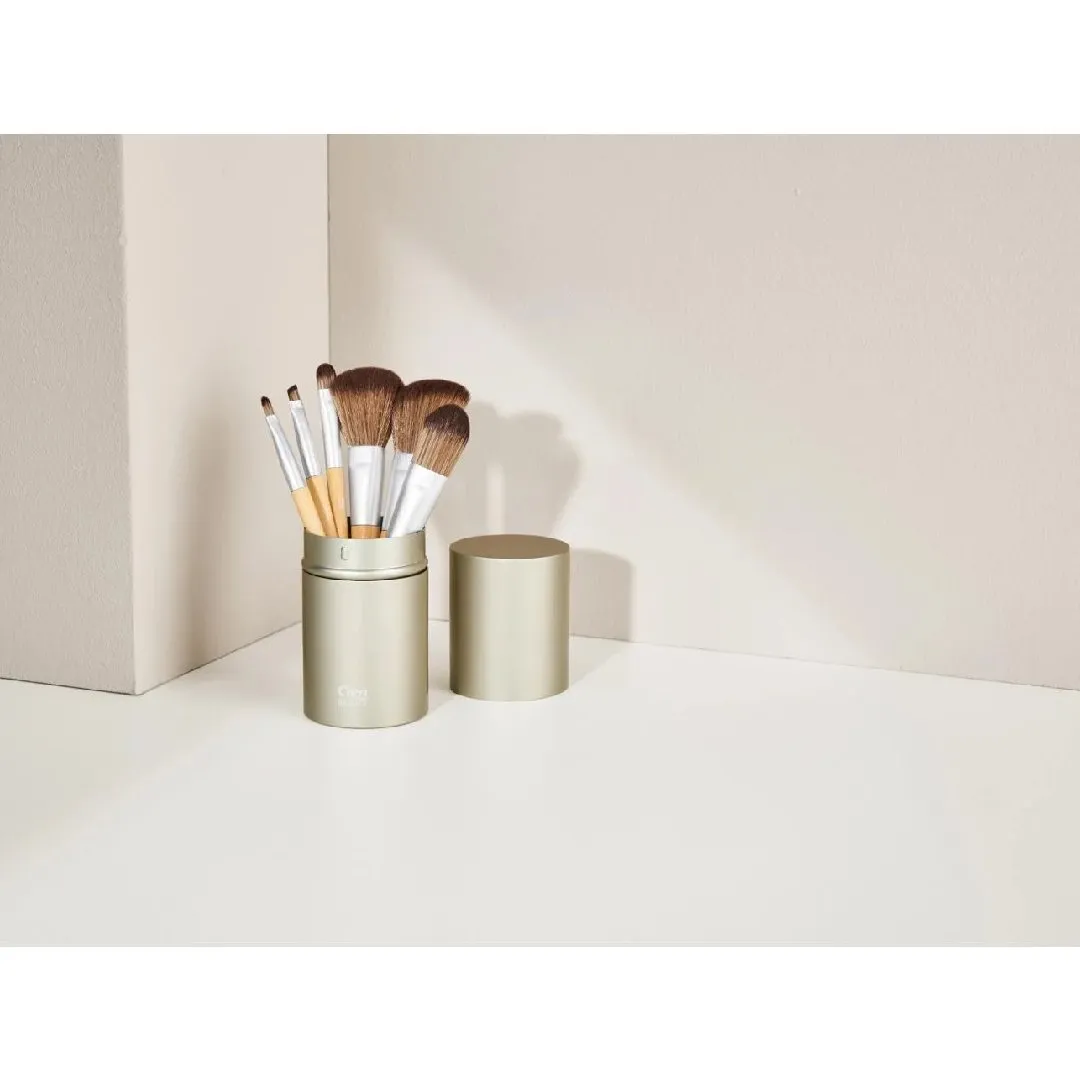 Professional Cien Beauty makeup brushes 6 pcs in a case