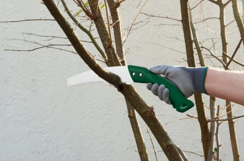 Parkside - Hand Saw