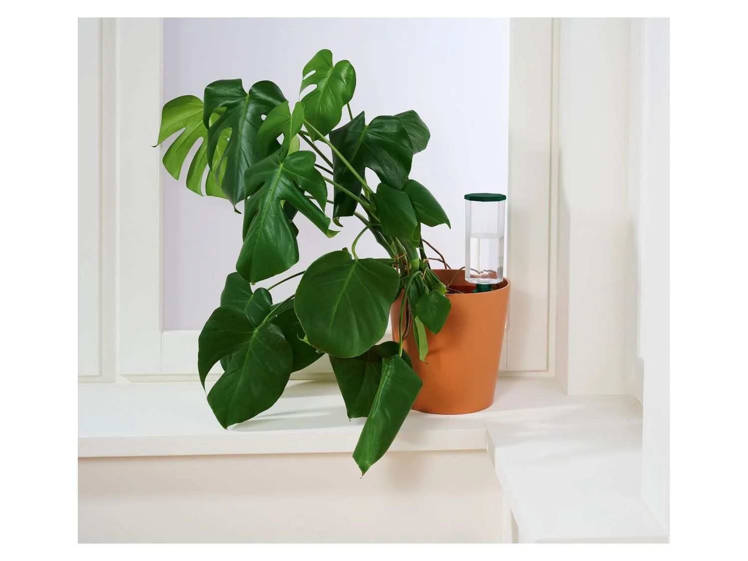 Parkside - Drip irrigation for plants, 500 ml