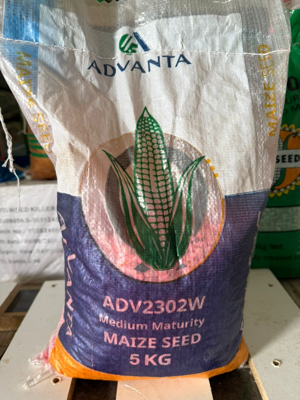ADV2302W Maize Seed 5KG