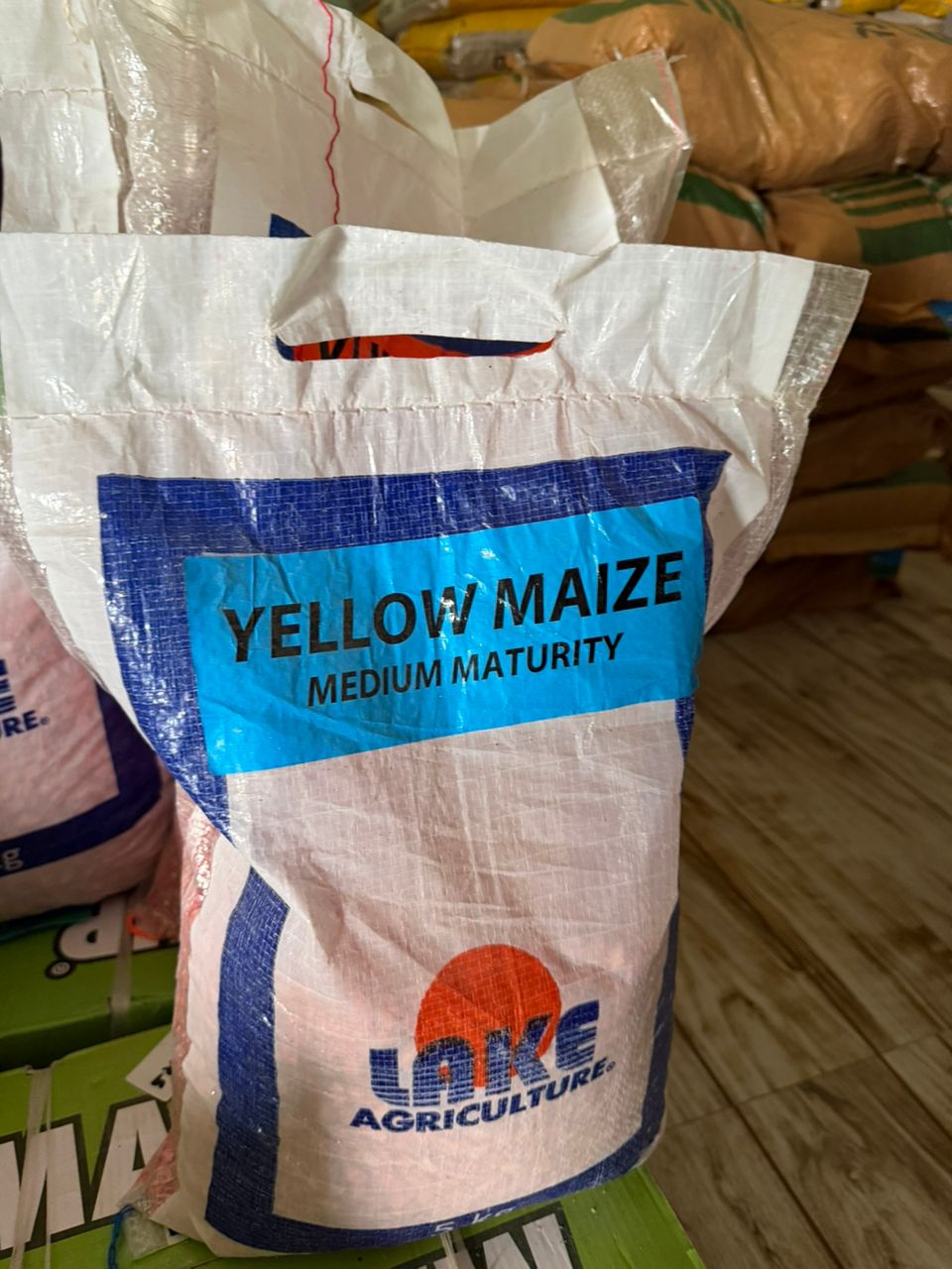 Yellow Maize