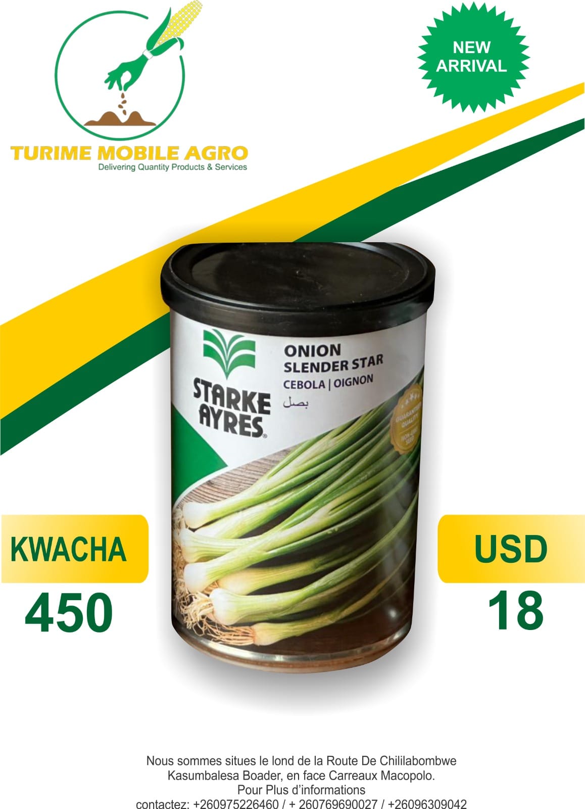 Starke Ayres Onion Slender Star Seeds