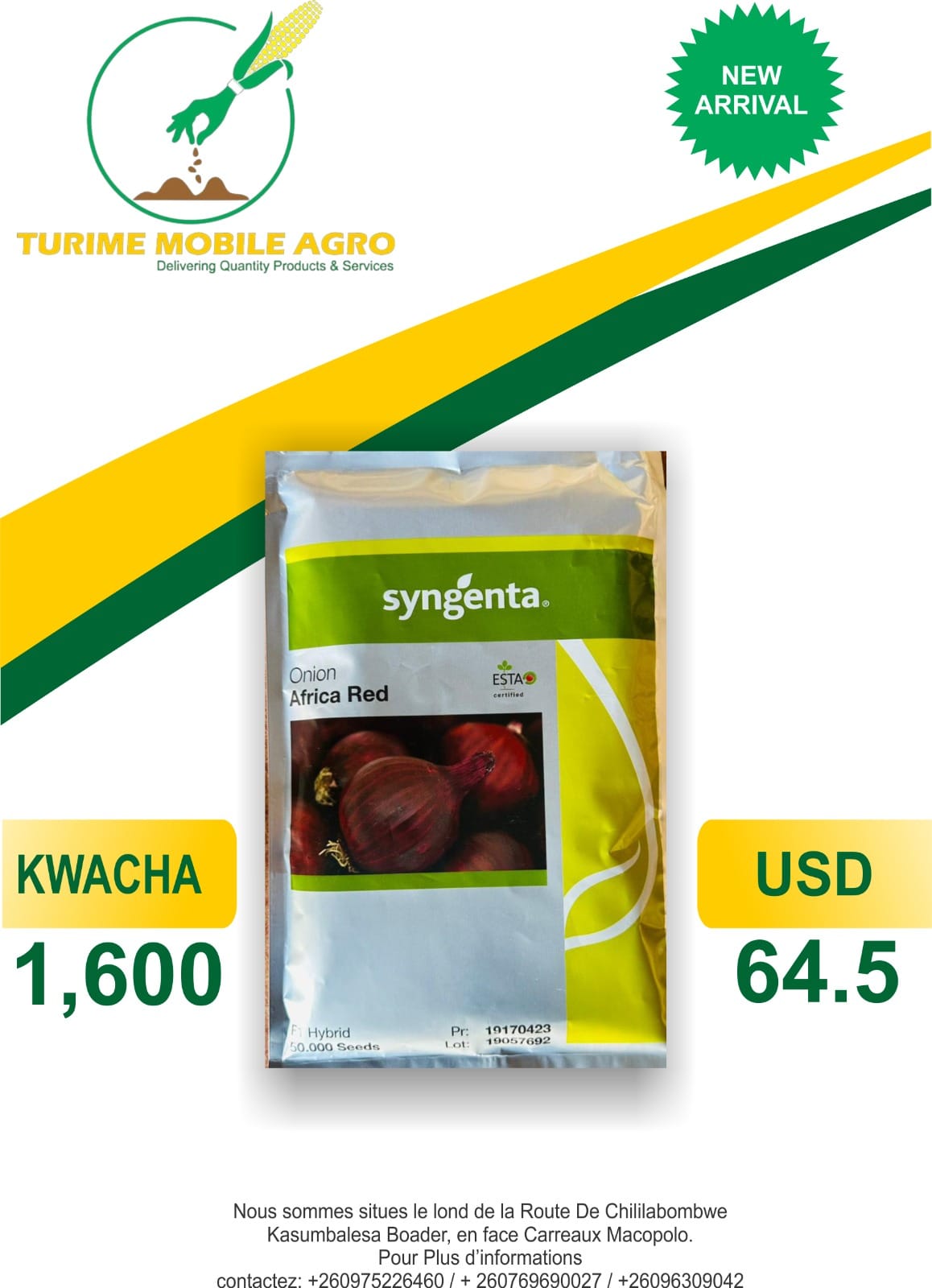 Syngenta Onion Seeds - Africa Red