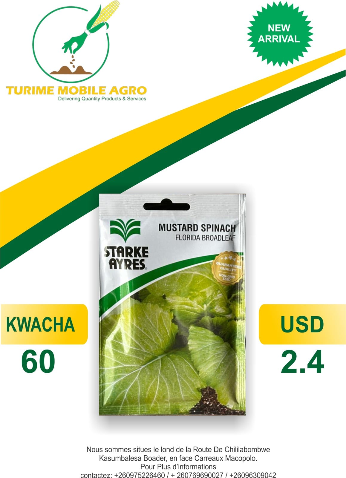 Mustard Spinach Florida Broadleaf Seeds