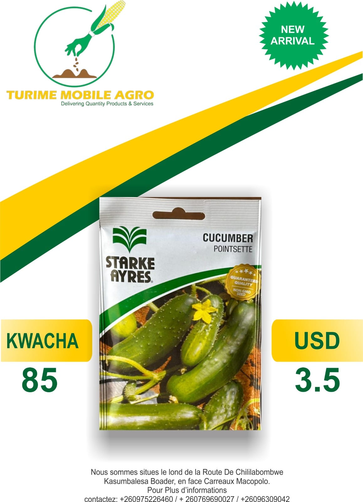 Starke Ayres Cucumber Pontsette Seeds