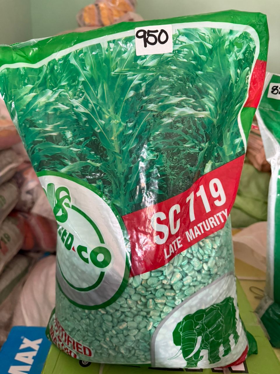 SeedCo SC 719 Maize Seeds