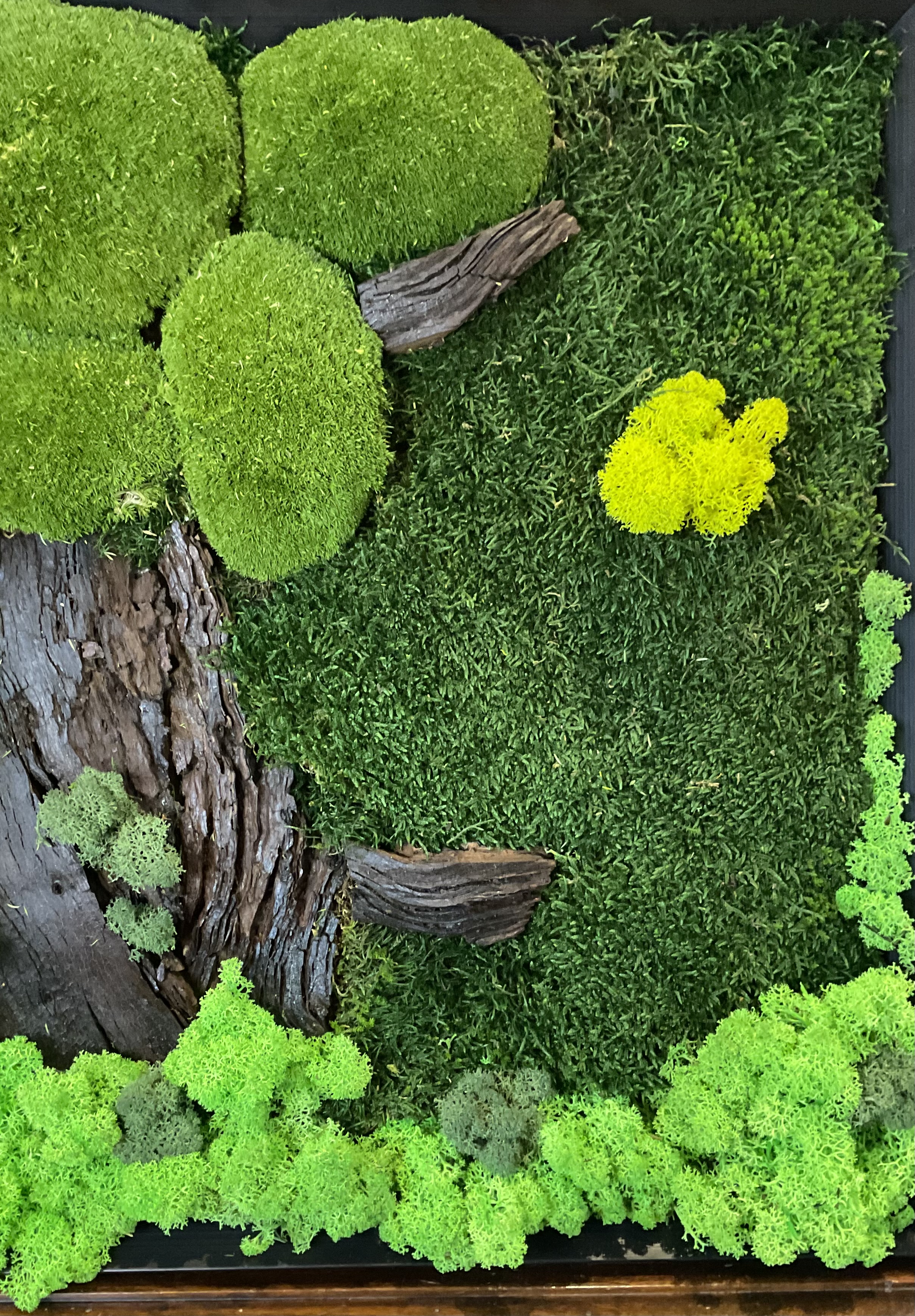 Quadro cornice in legno nera con albero