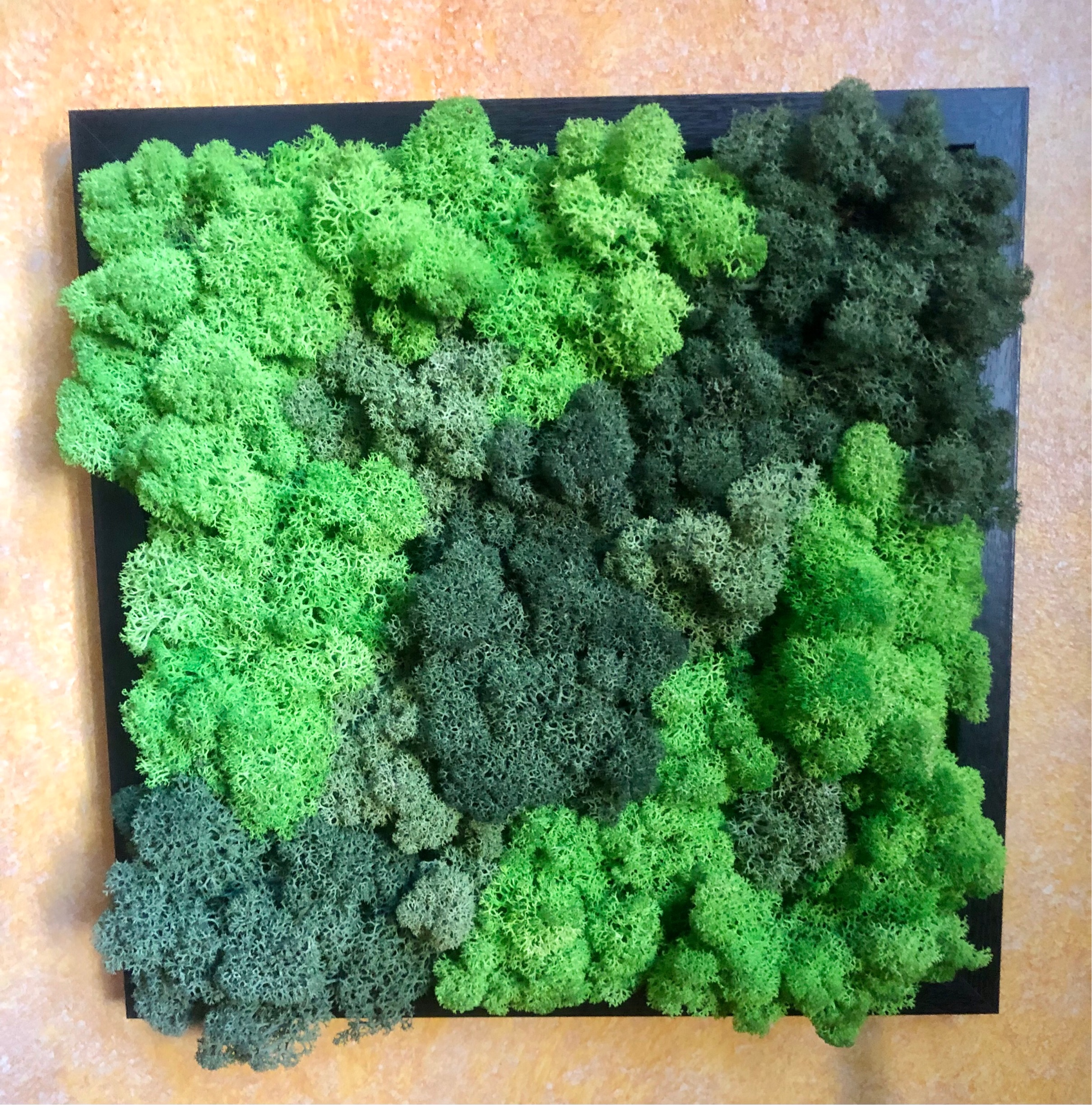 Quadro cornice nera e fantasia di muschi