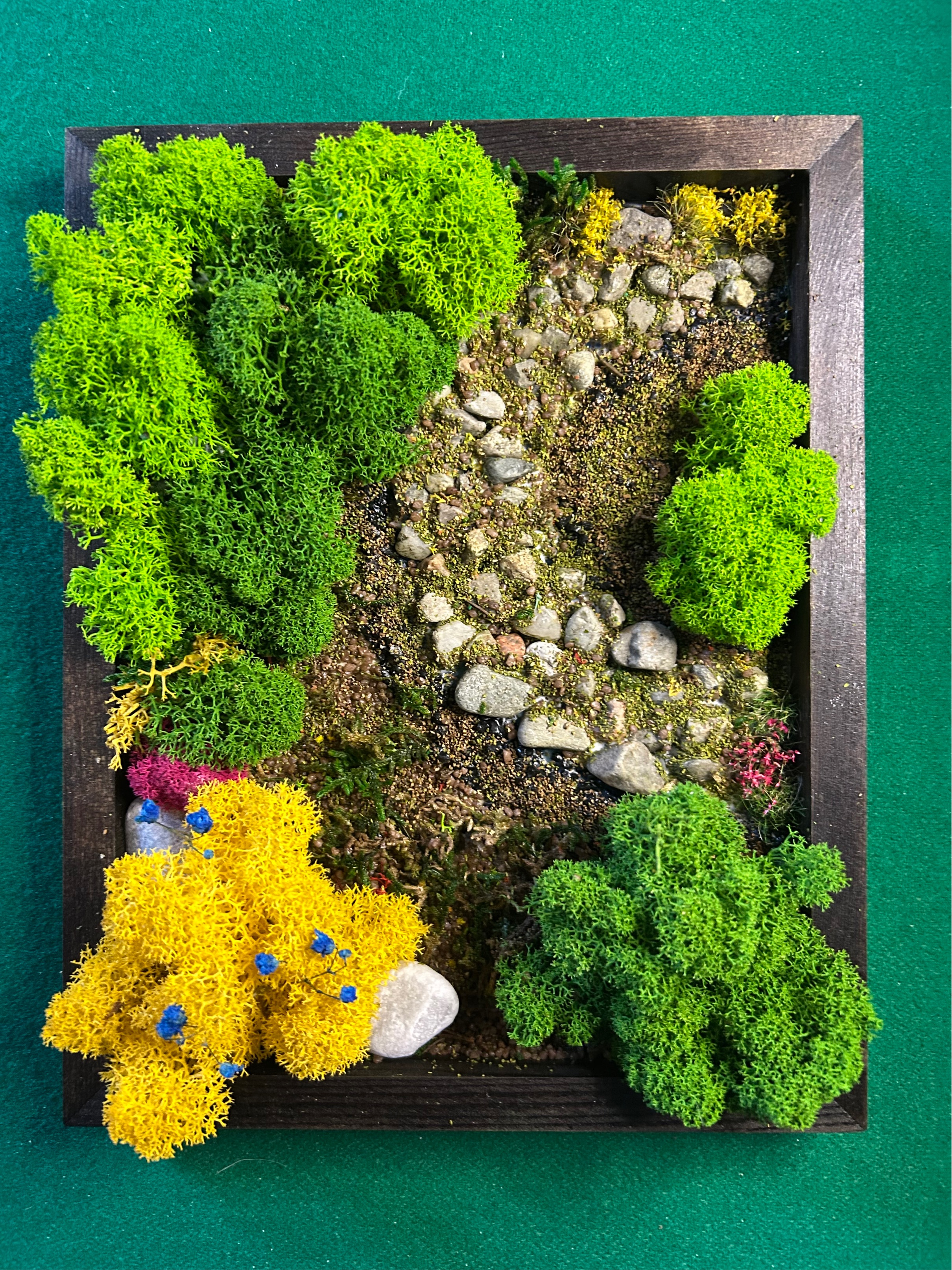 Quadro su cornice nera e muschio stabilizzato