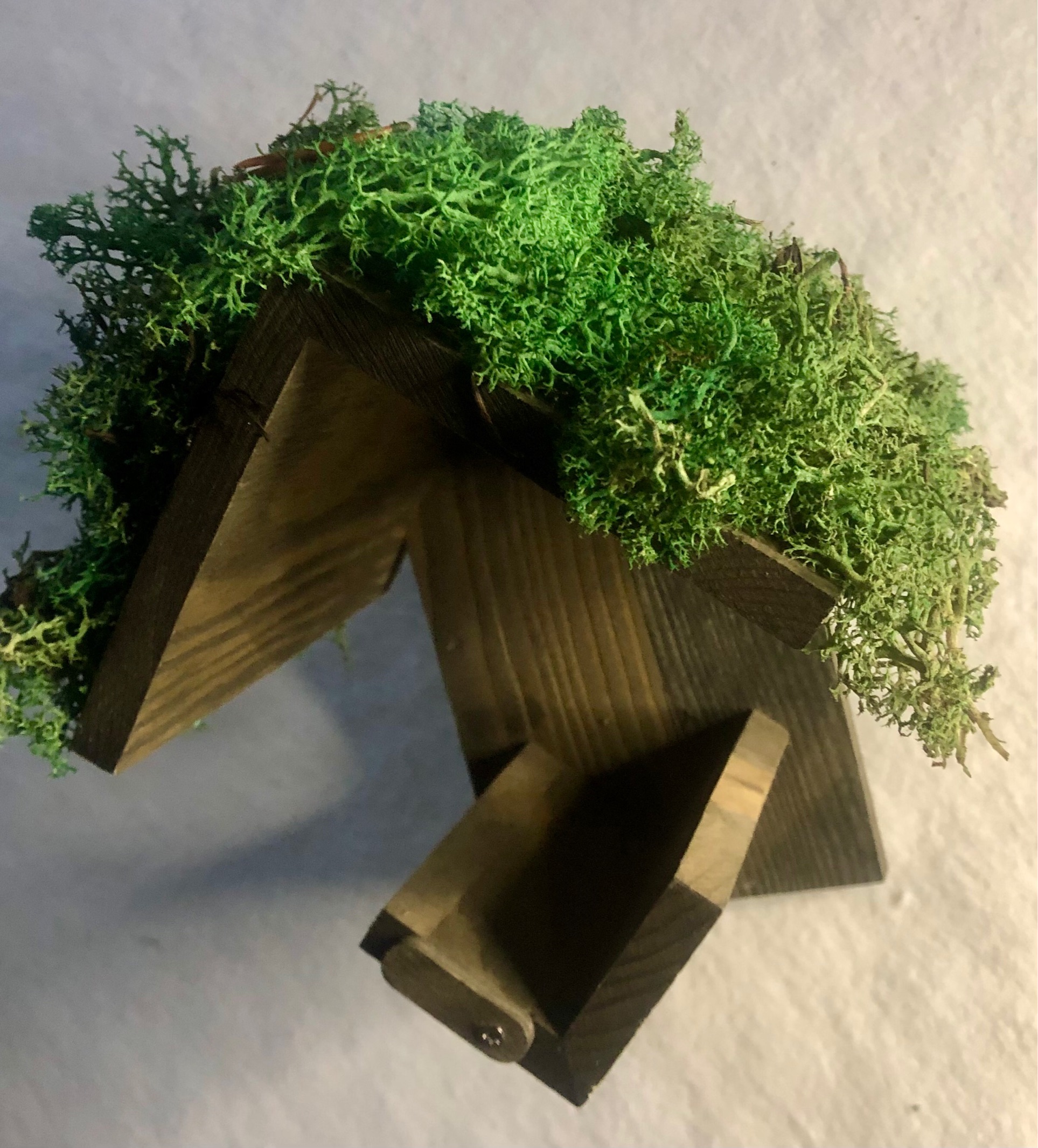 Casetta pe uccellini