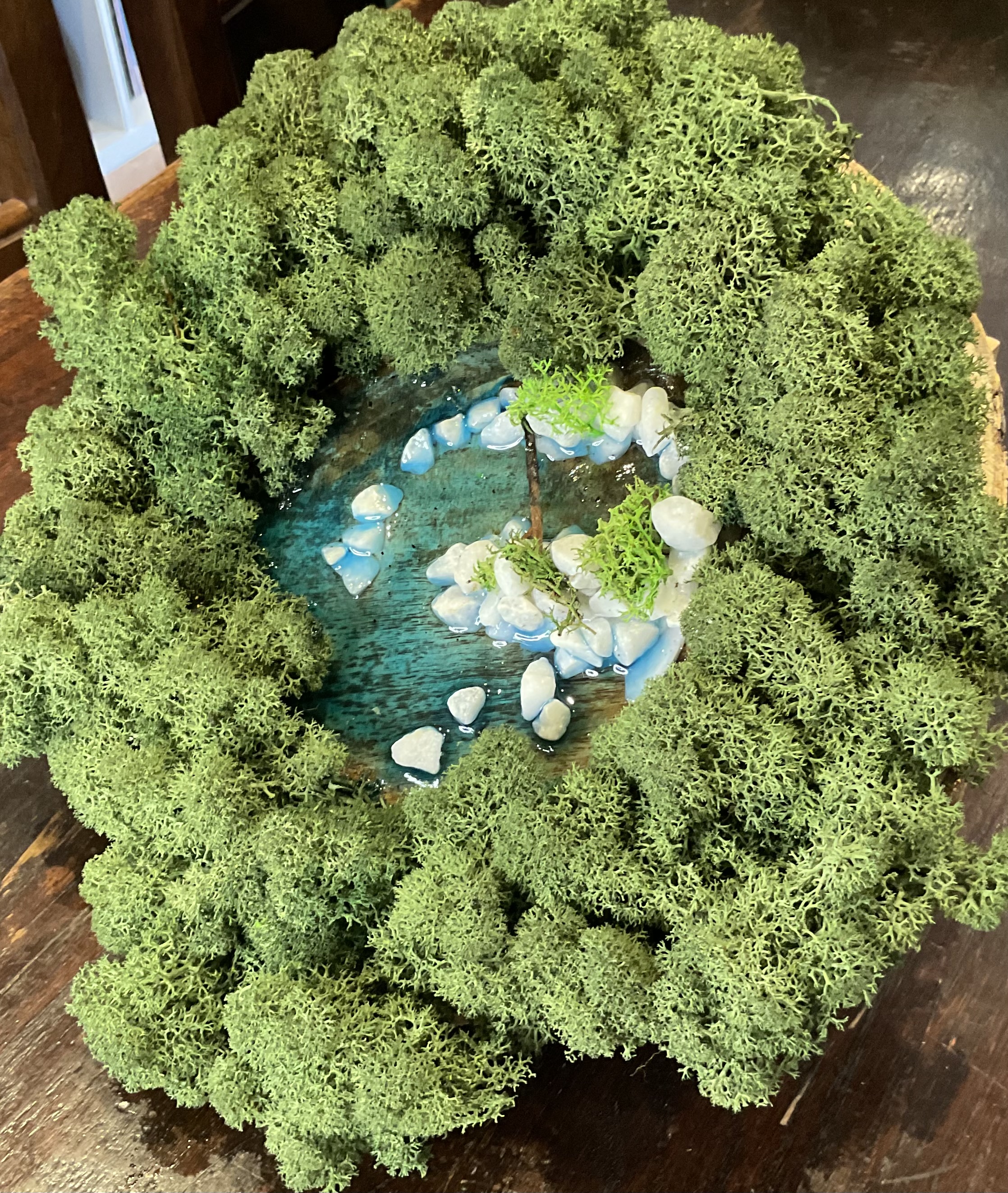 Fetta in abete con laghetto al centro di un bosco lussureggiante