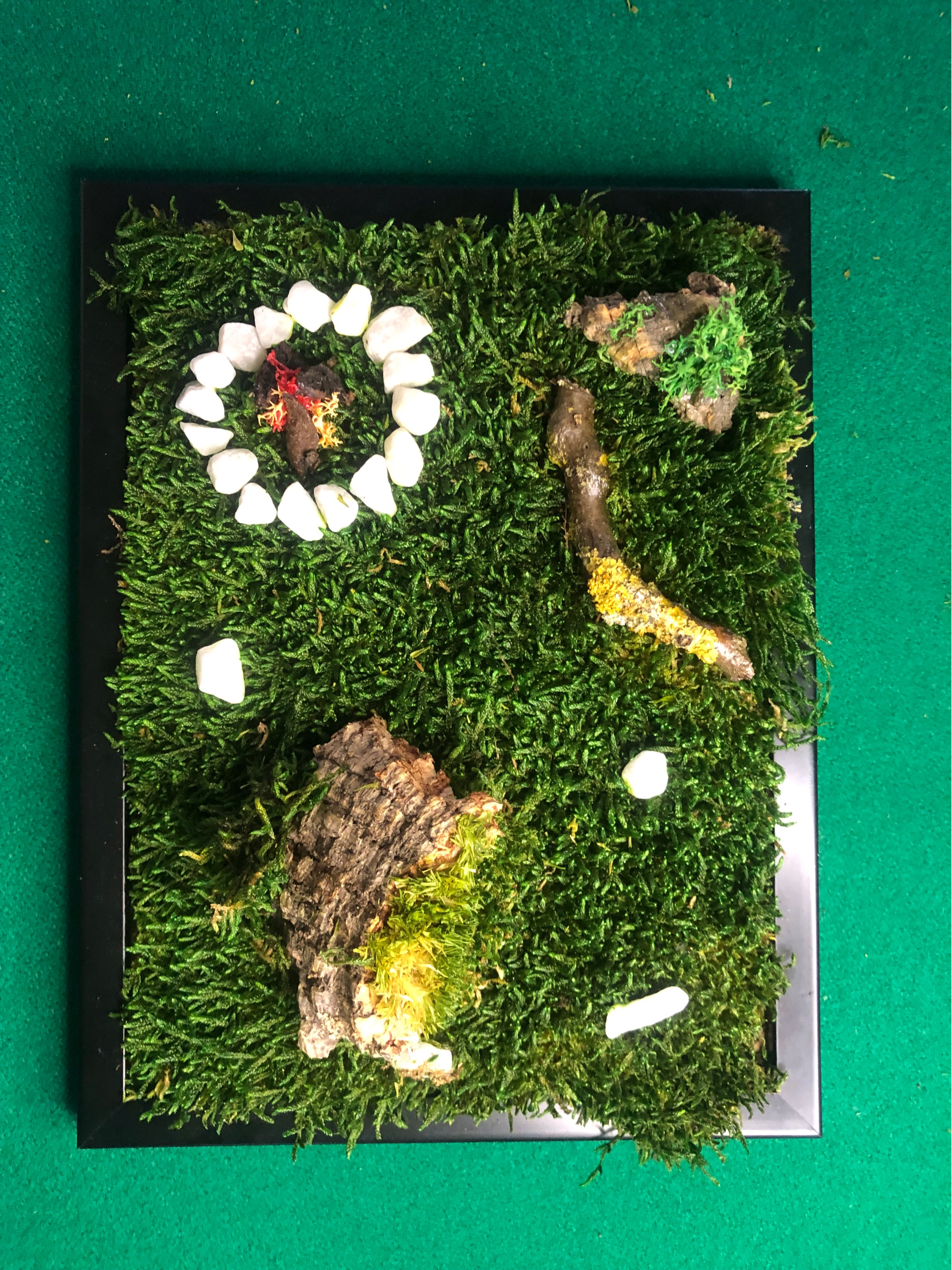 Portafoto con muschio e piccolo falò