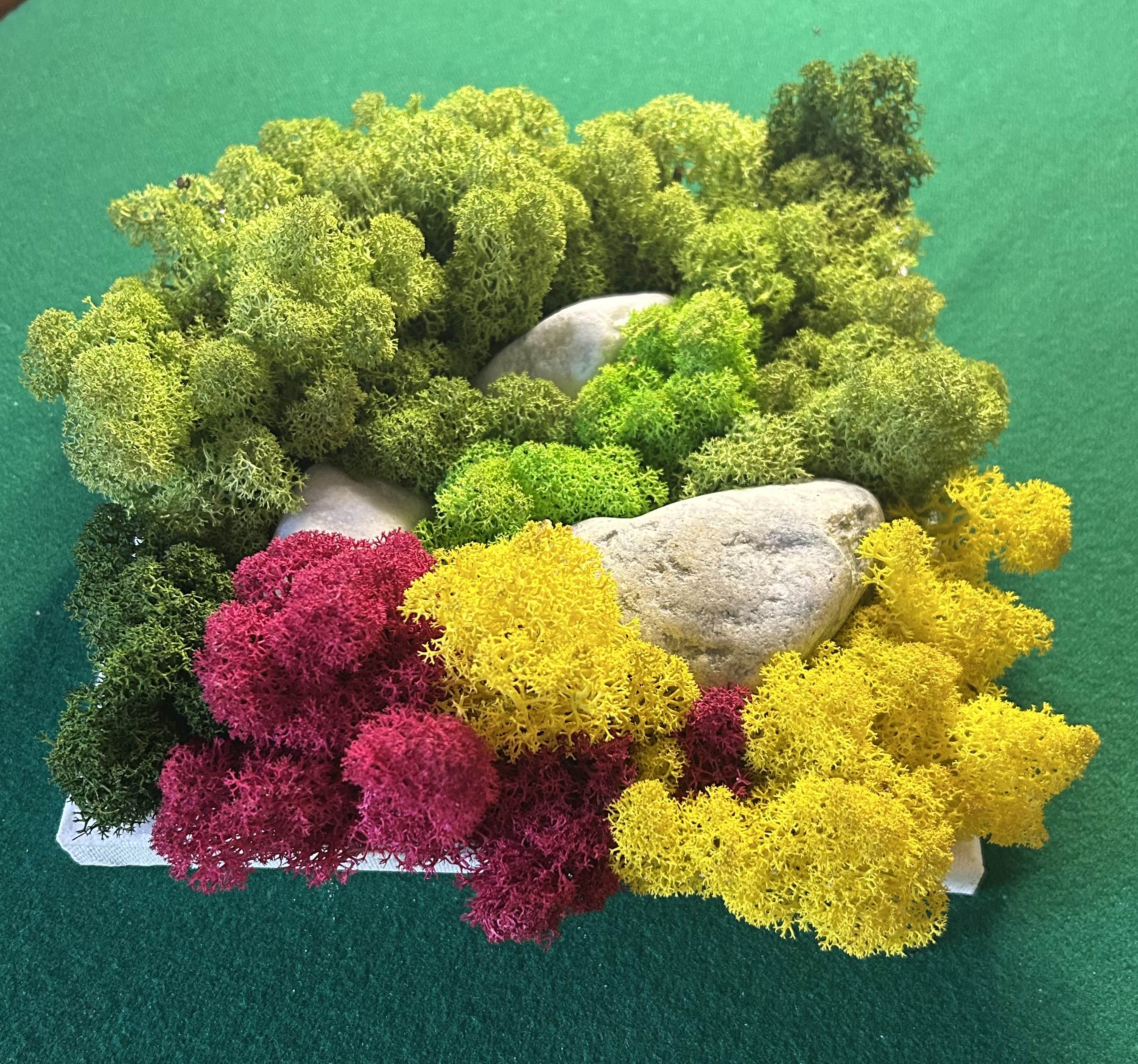 Quadro su tela di Paesaggio Naturale