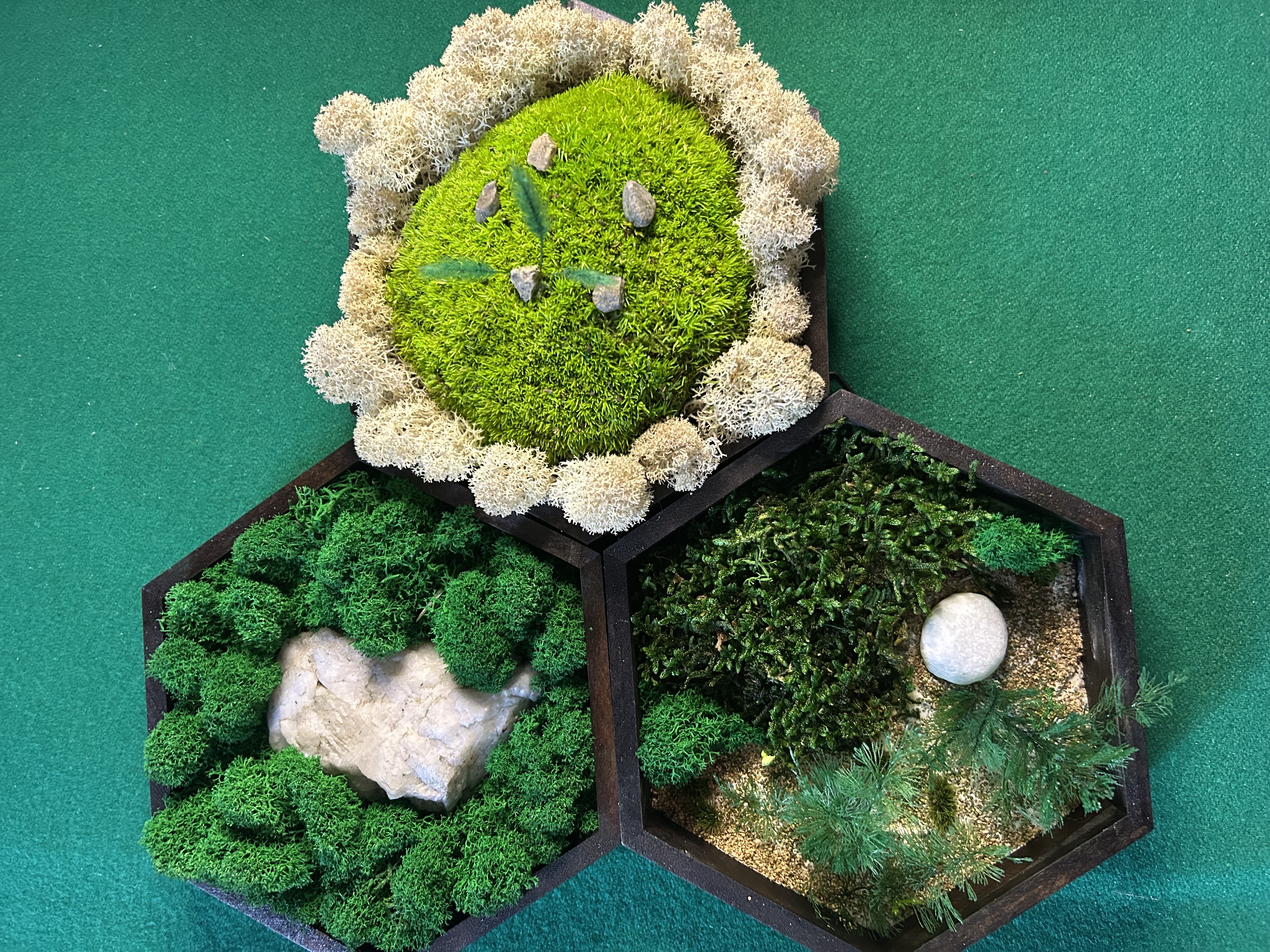 Tris di quadri Esagonali con Muschio stabilizzato