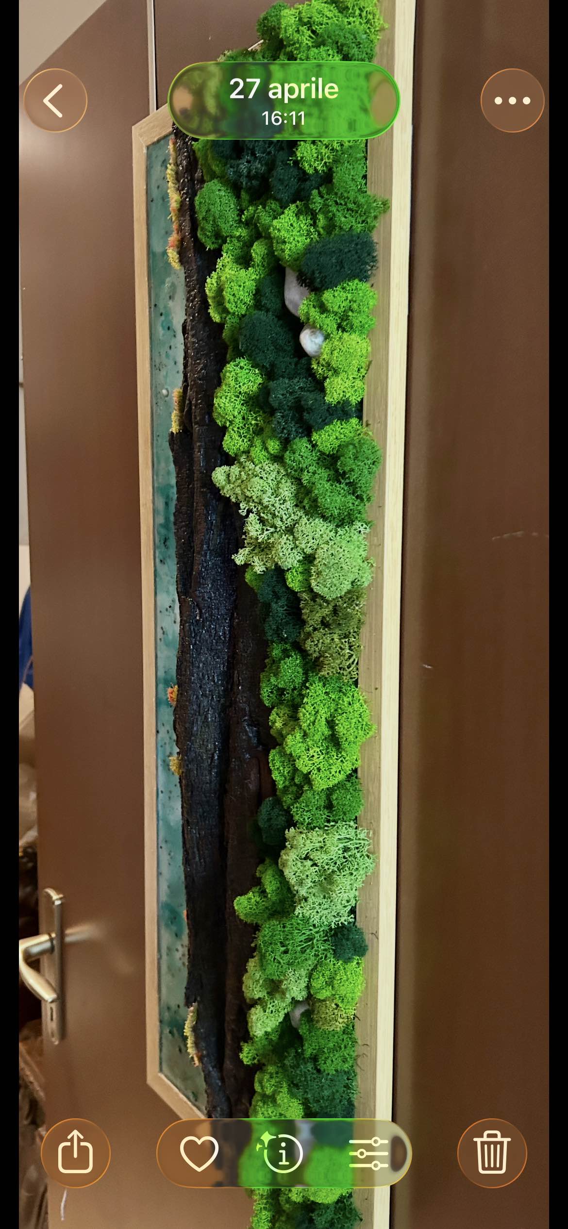 " Dove scorre il Verde " - Quadro in muschio stabilizzato