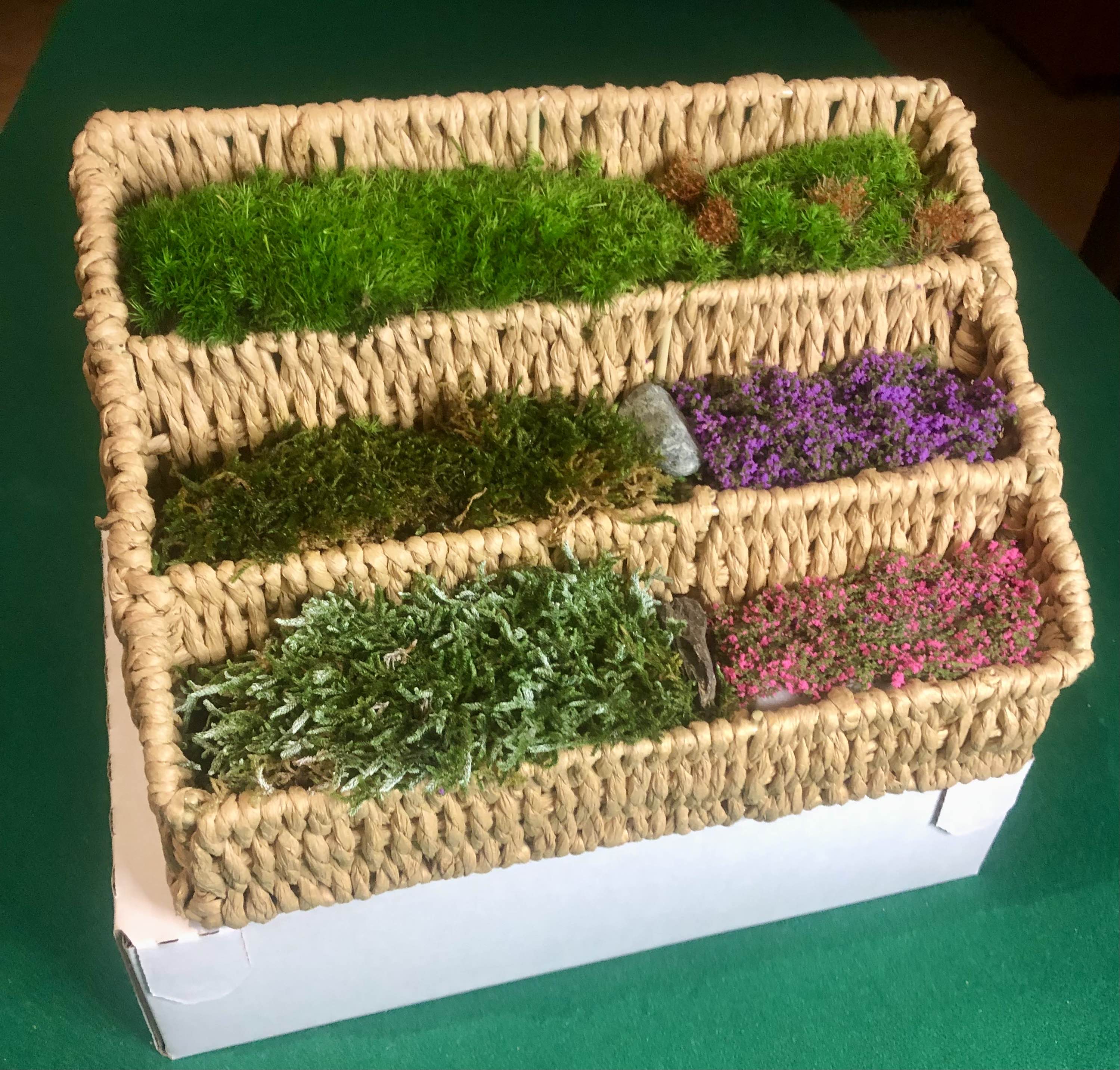 Terrazzamento con muschi e fiori