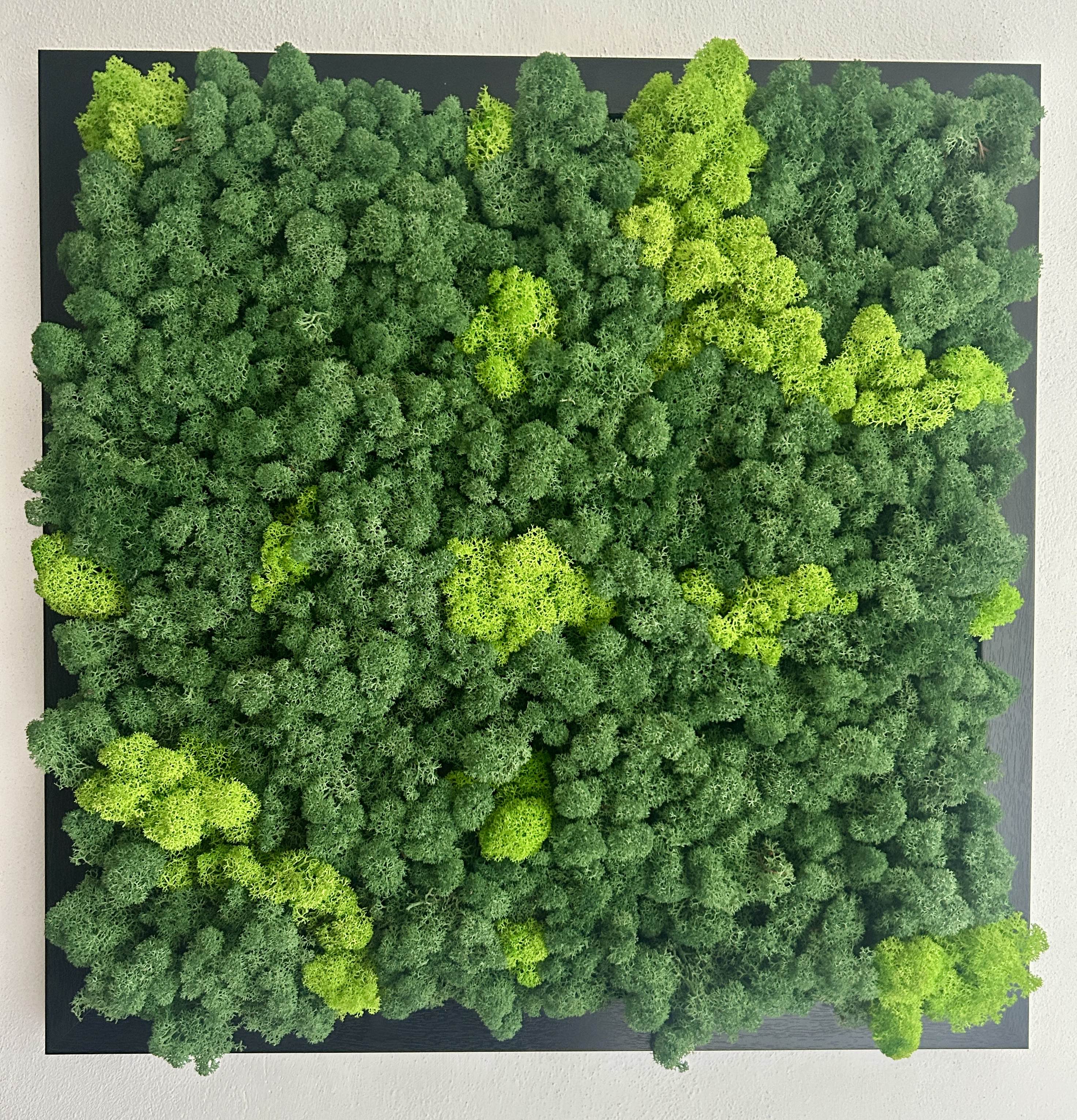 Quadro " Bosco Verticale "