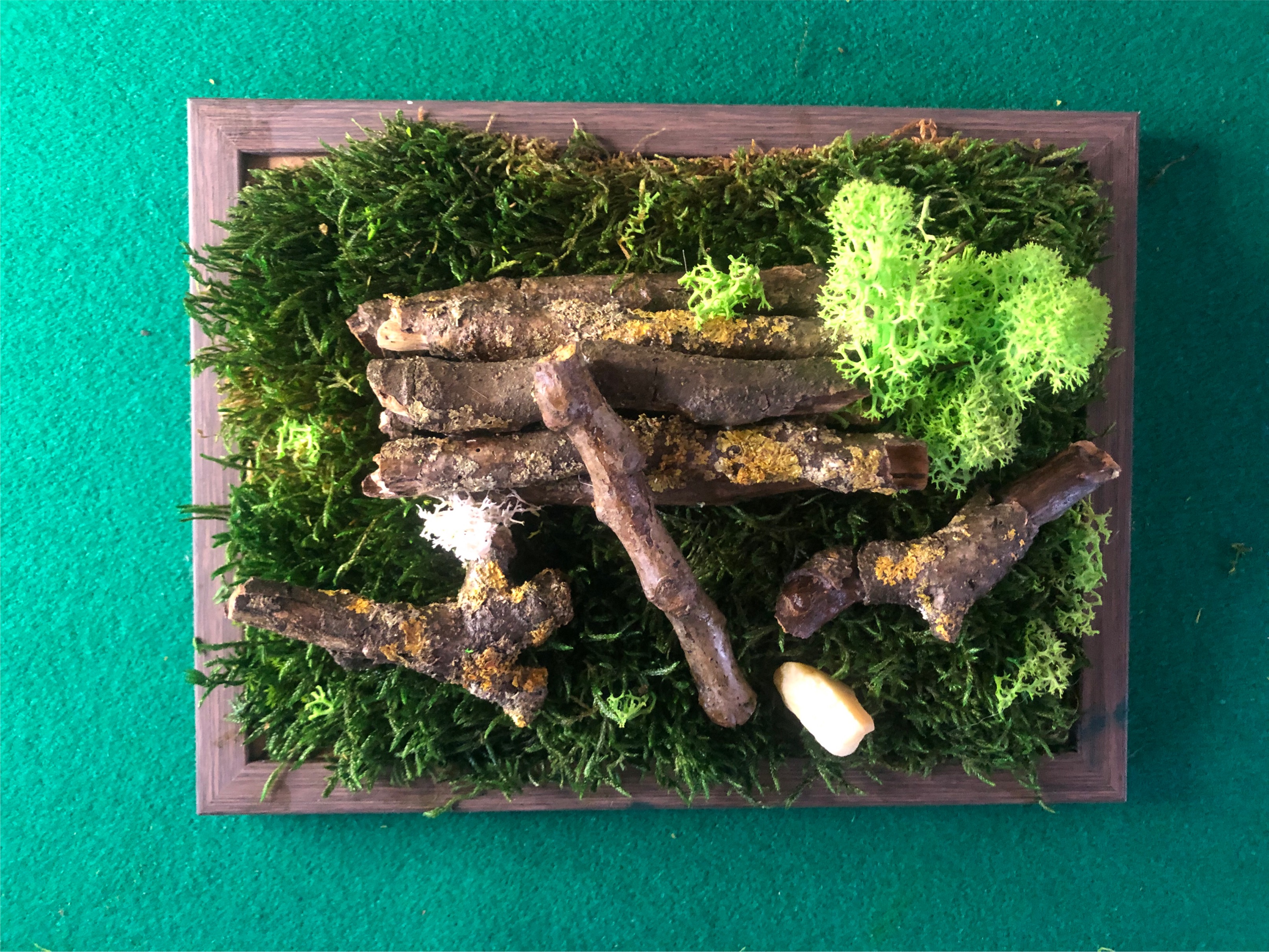 Portafoto con muschio e ramoscelli