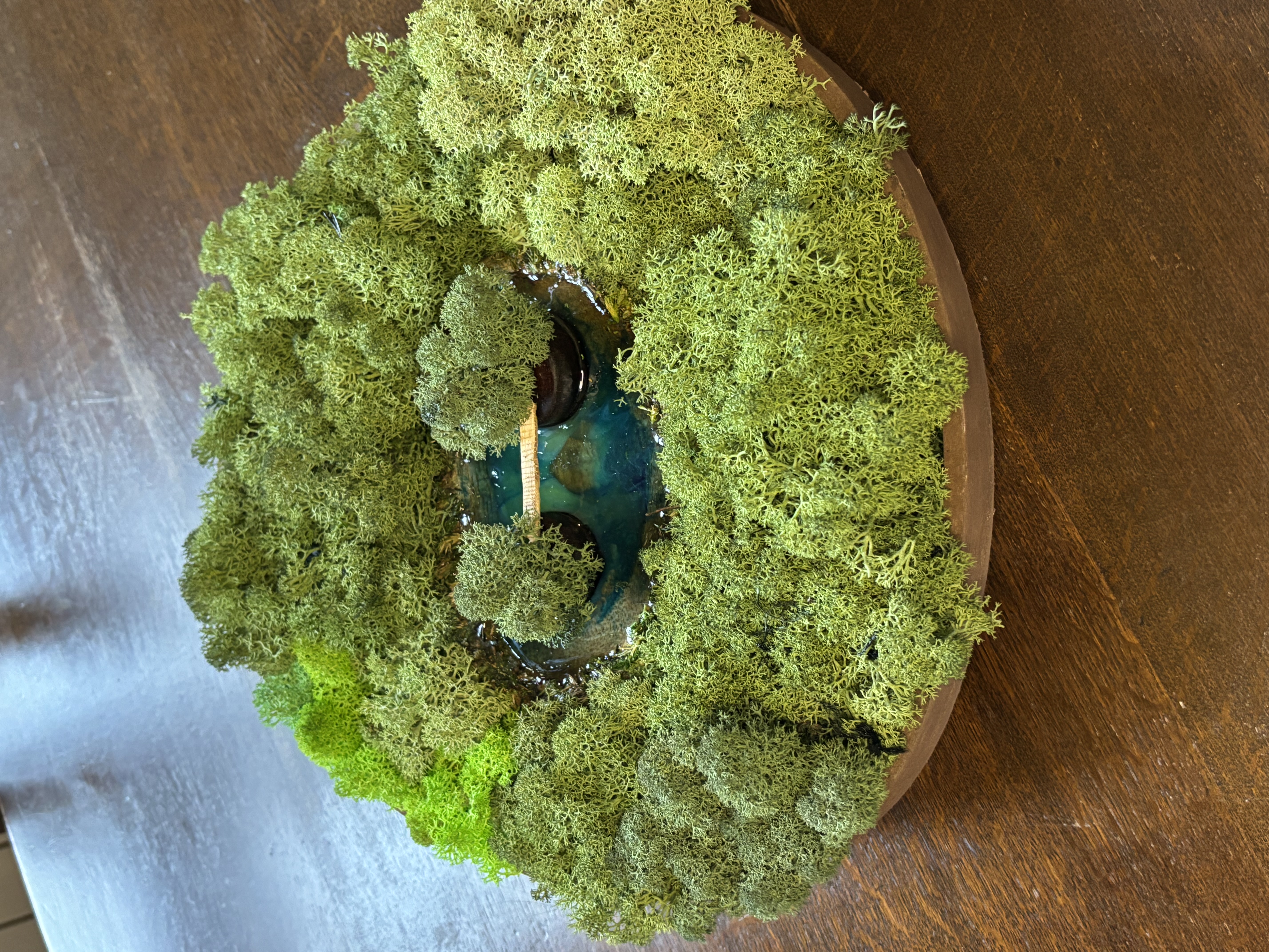 Fetta di abete con isolette e bosco lussureggiante