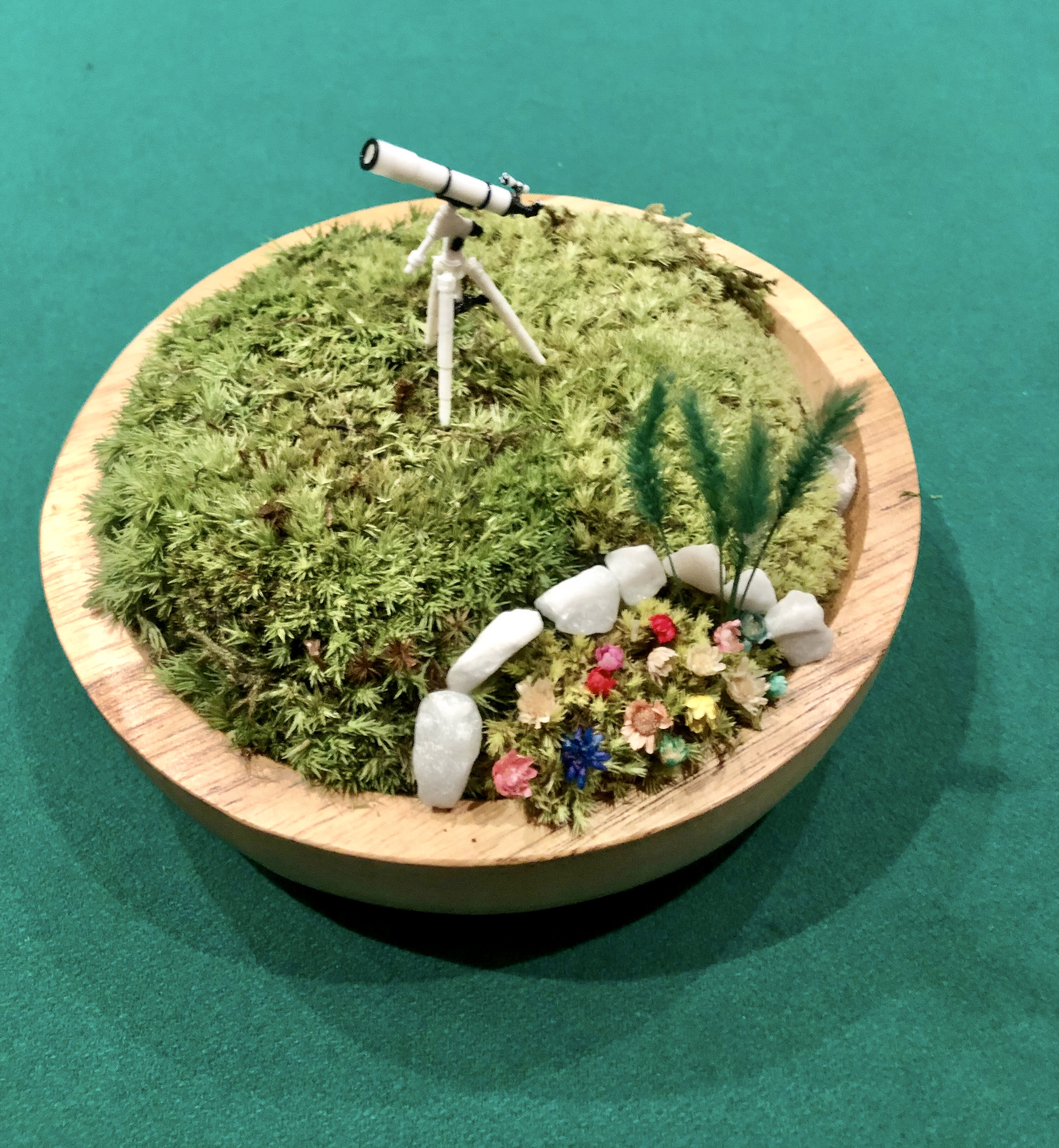 Giardino dell'Osservatorio