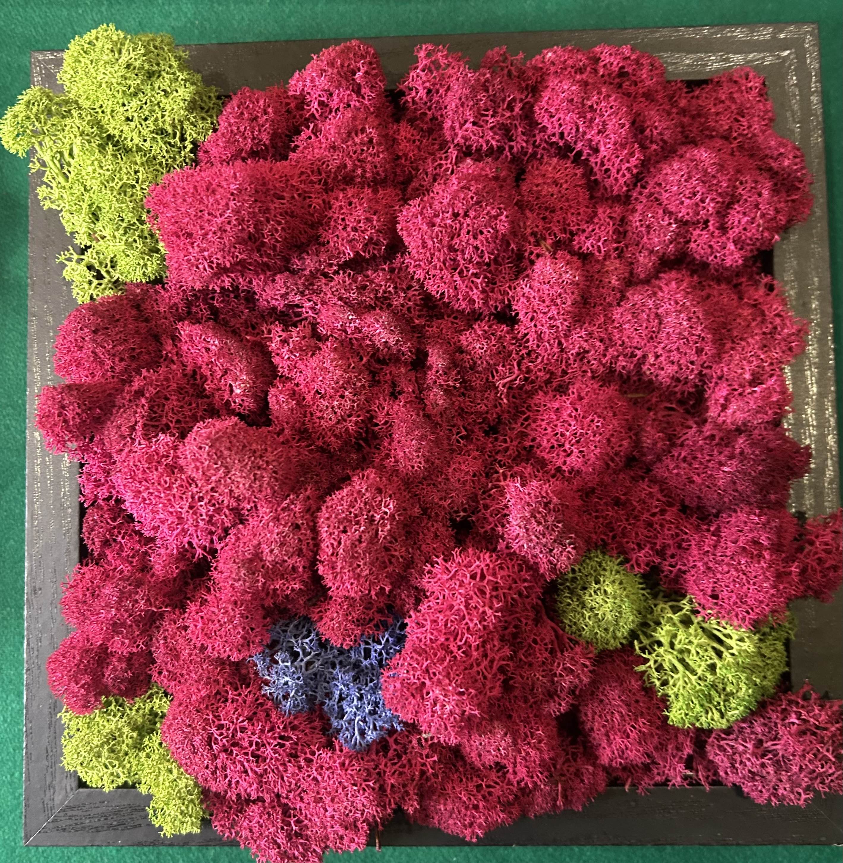 Quadro di muschio stabilizzato : Estate