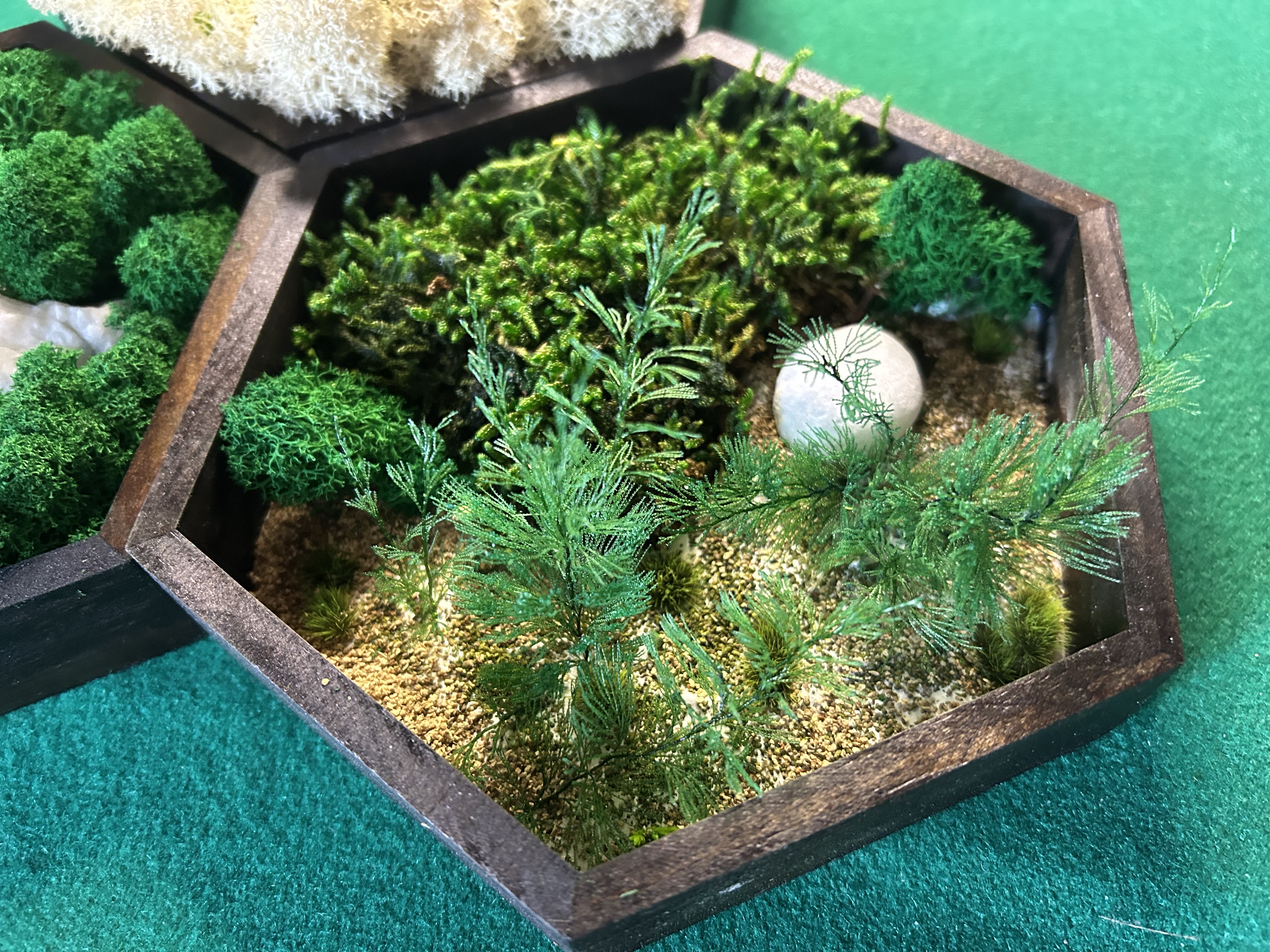 Tris di quadri Esagonali con Muschio stabilizzato