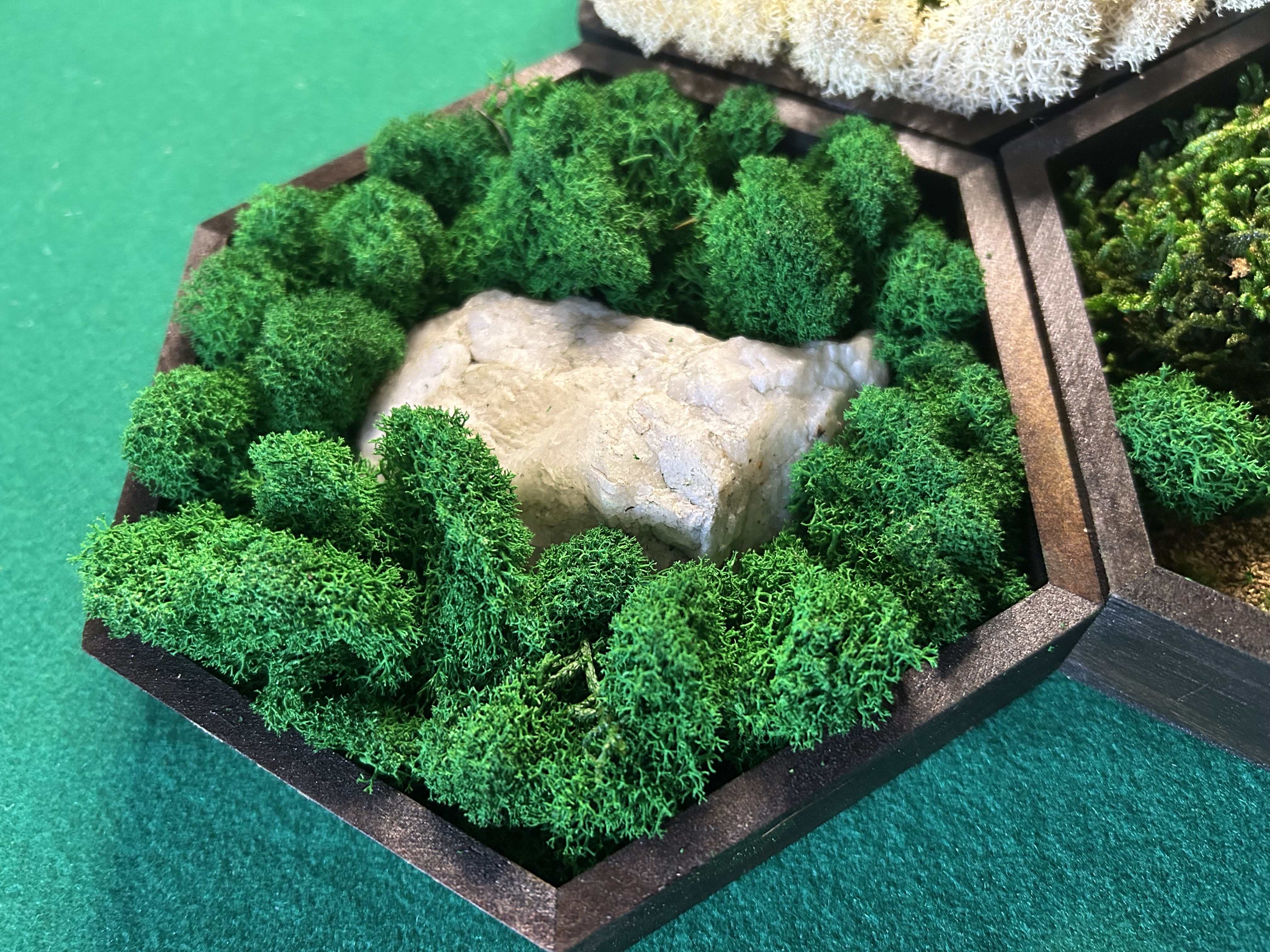 Tris di quadri Esagonali con Muschio stabilizzato