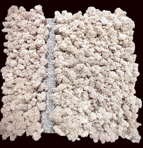 quadro con cornice nera con sfondo di bosco innevato con strada di campagna