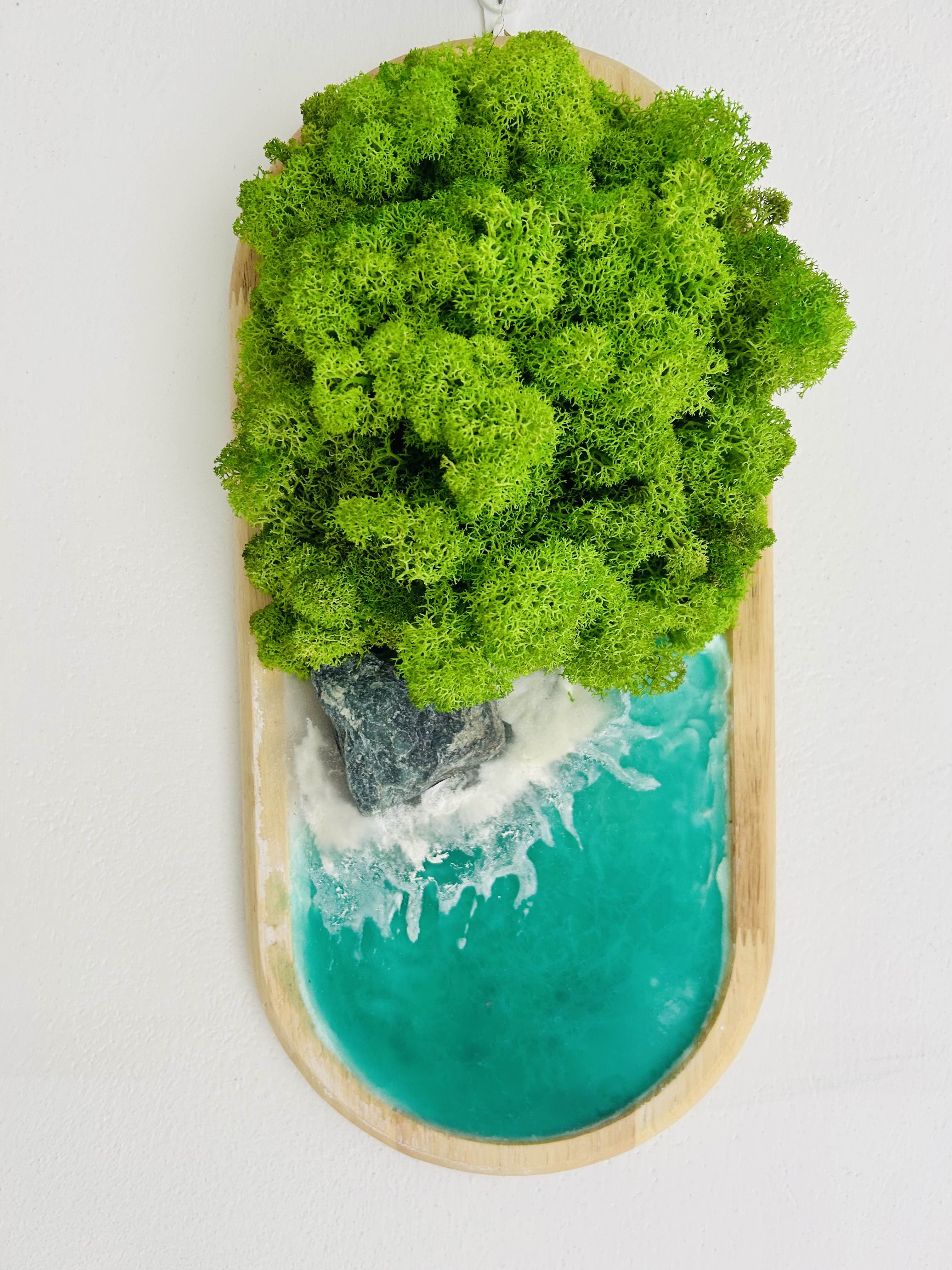 Quadro con muschio e mare