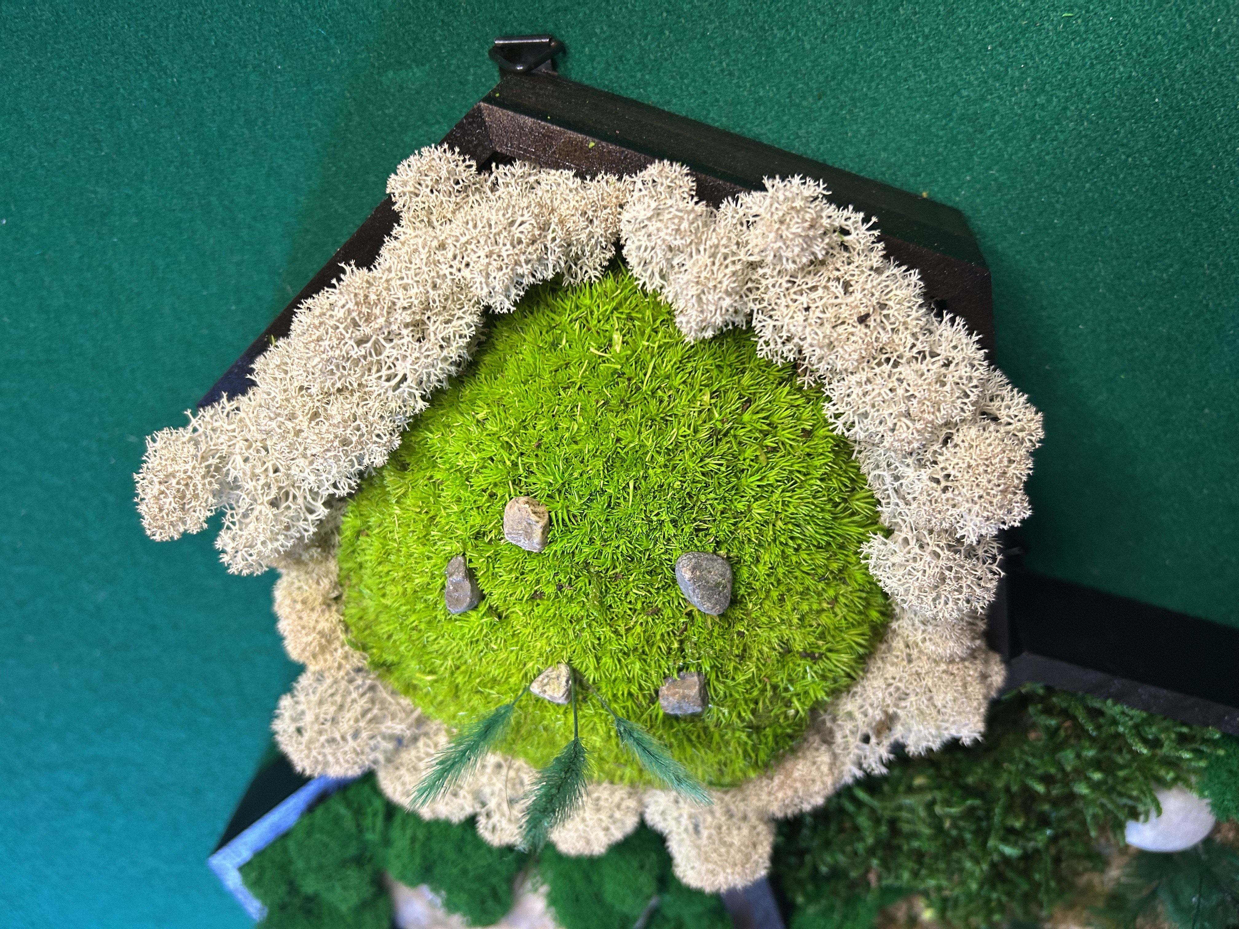 Tris di quadri Esagonali con Muschio stabilizzato